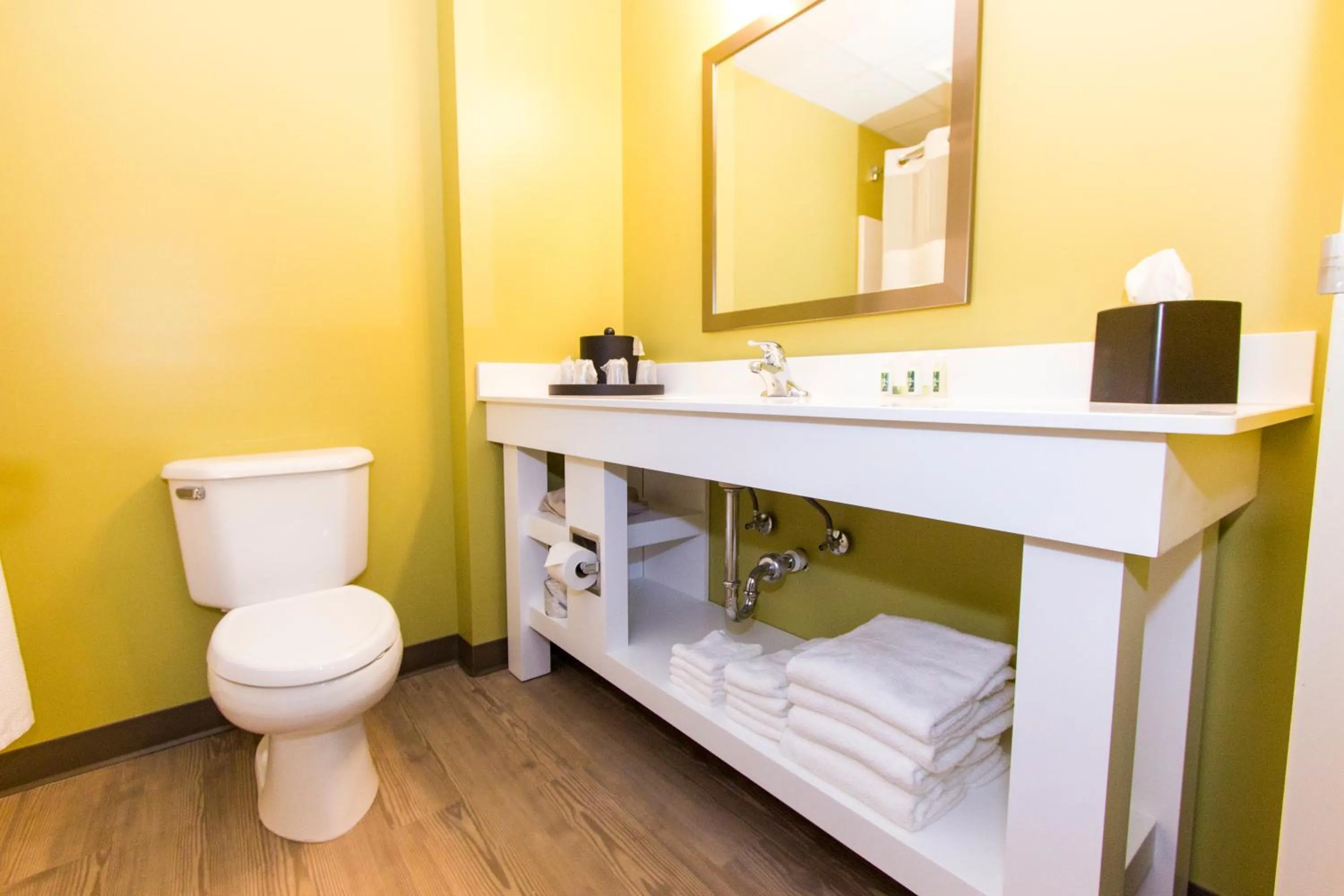 Toilet in Cedar Point's Express Hotel