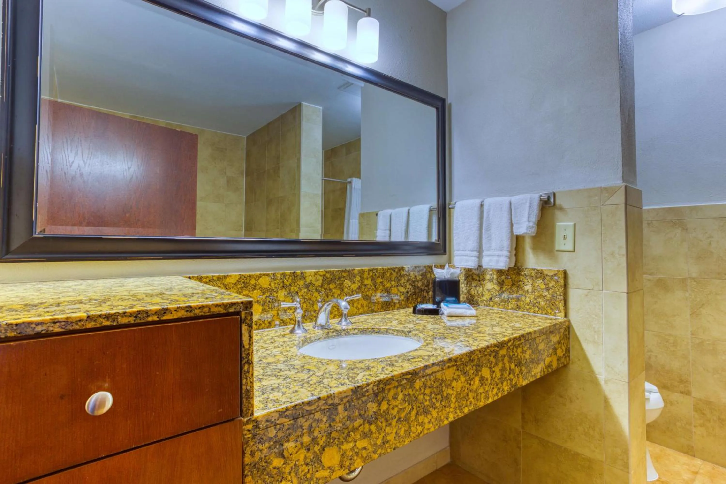 Bathroom in Drury Plaza Hotel San Antonio Riverwalk