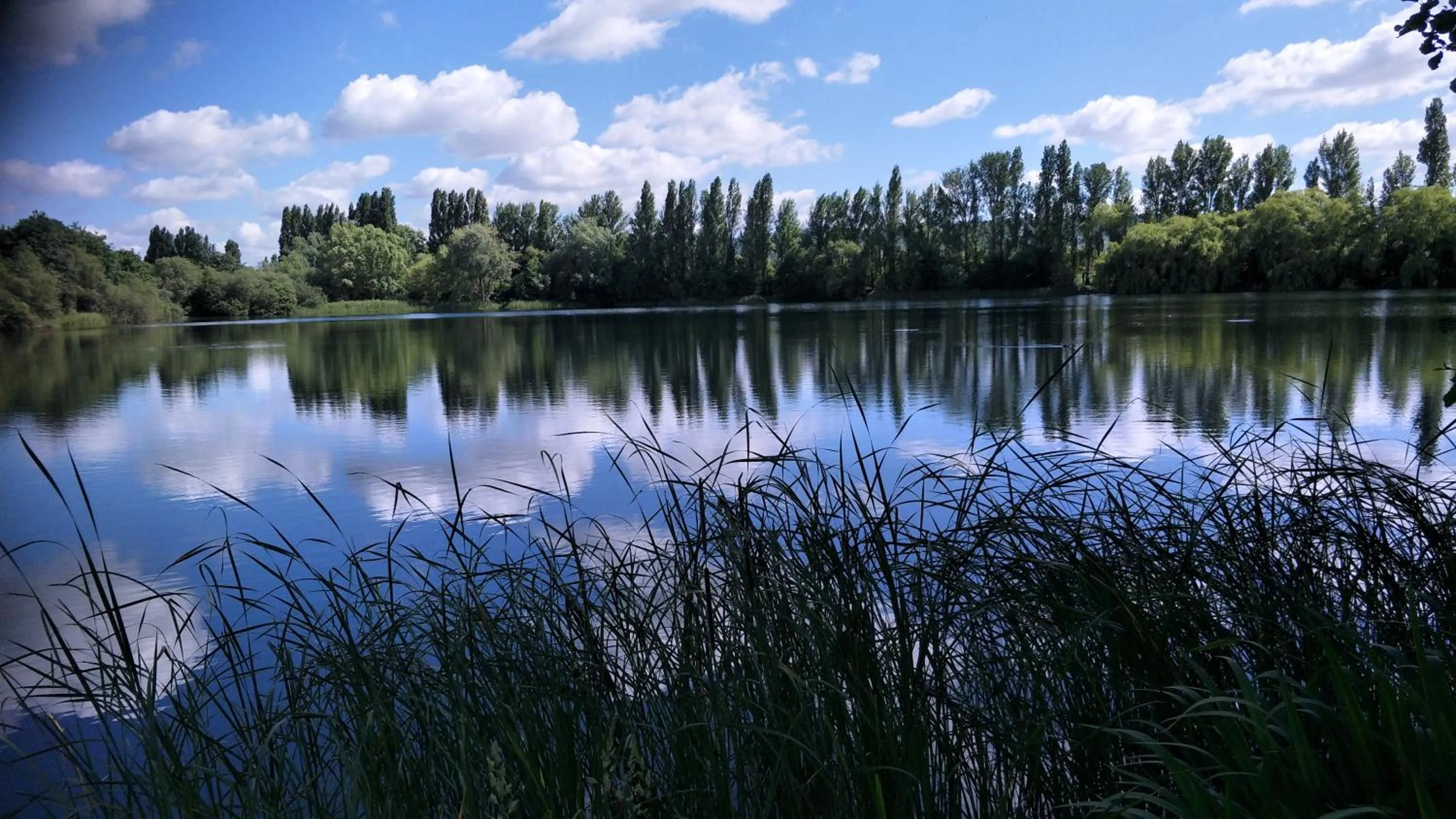 Lake view in Mallard Cottage Guest House