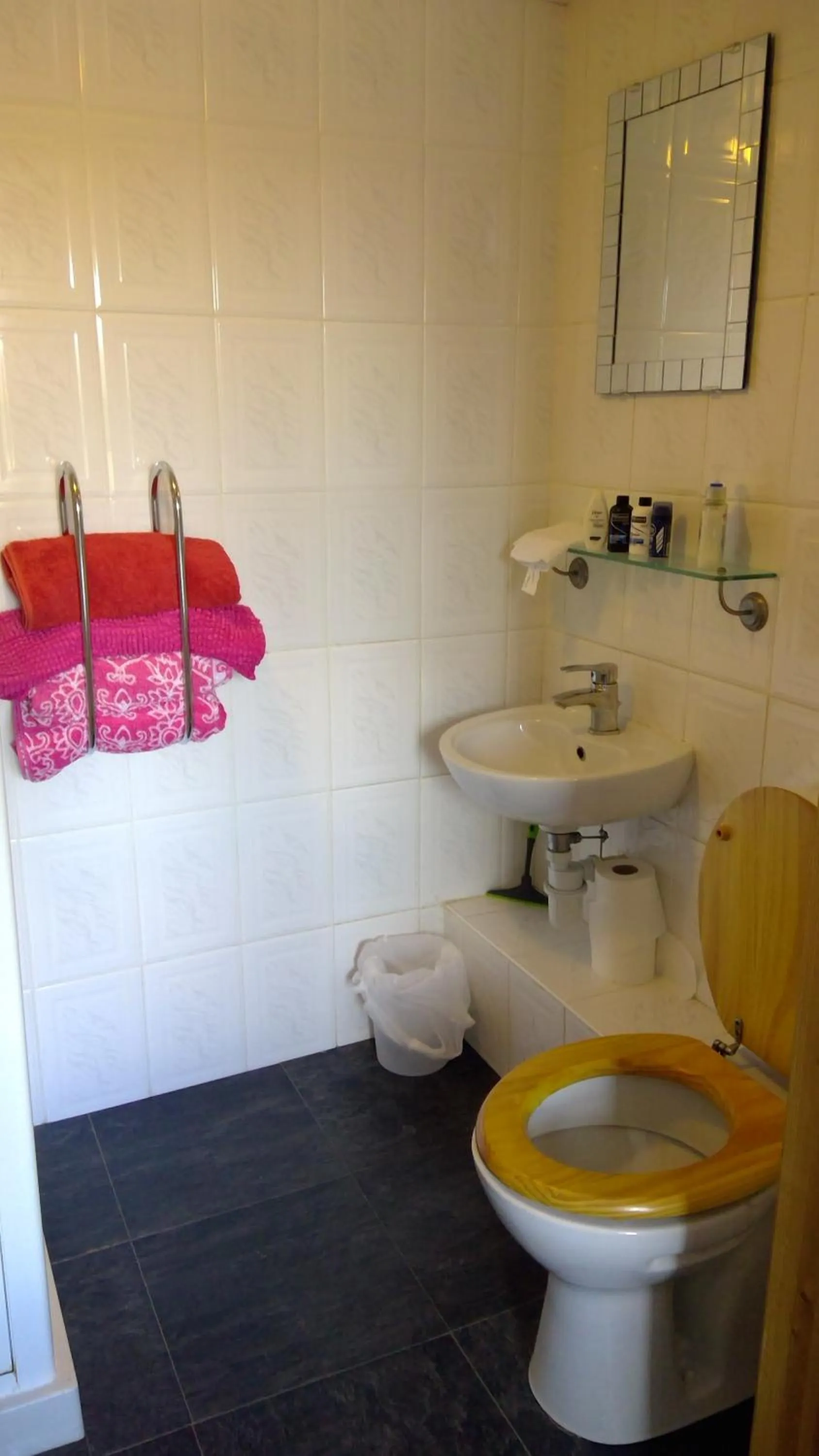 Toilet in Mallard Cottage Guest House