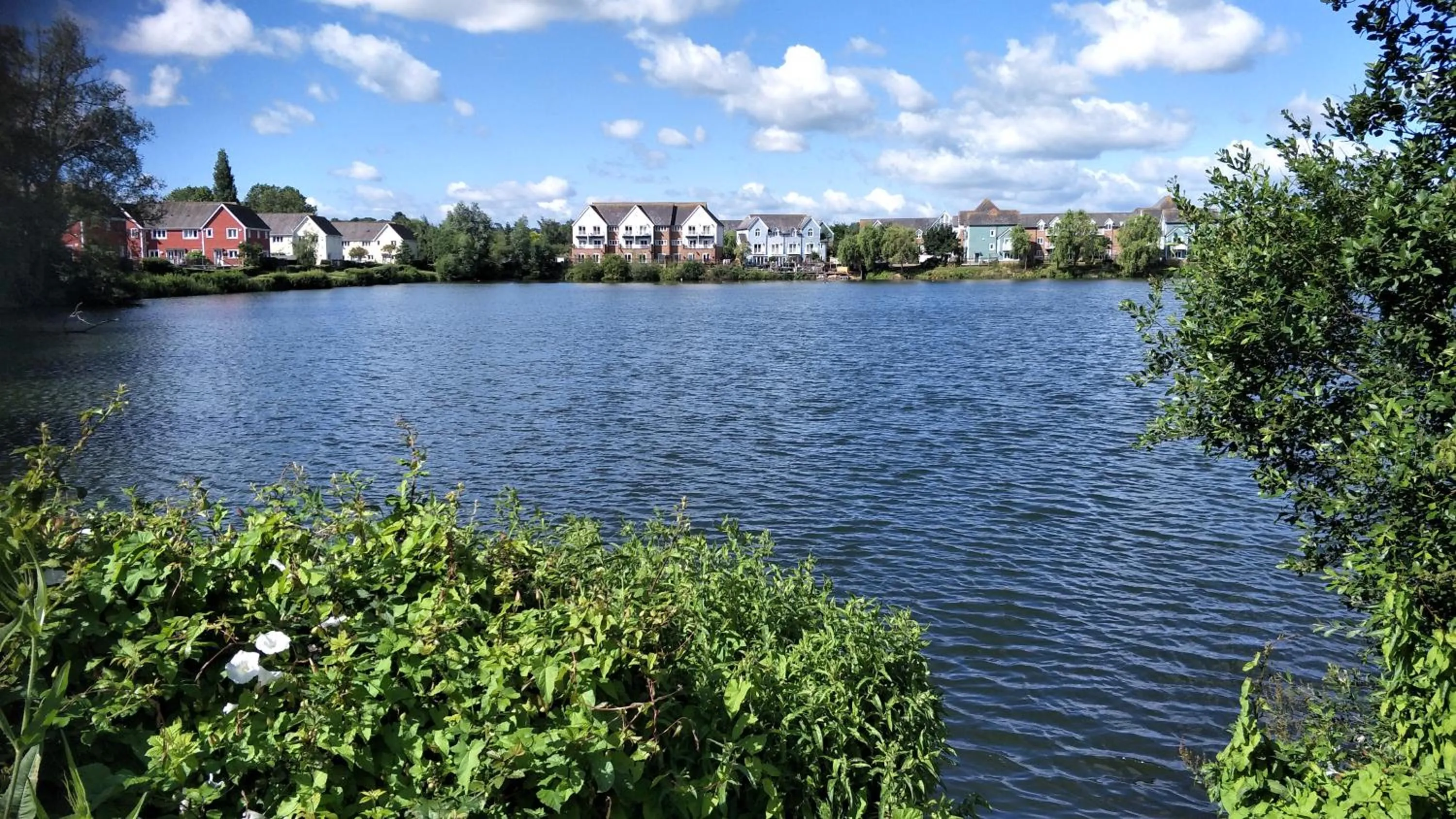 Lake view in Mallard Cottage Guest House