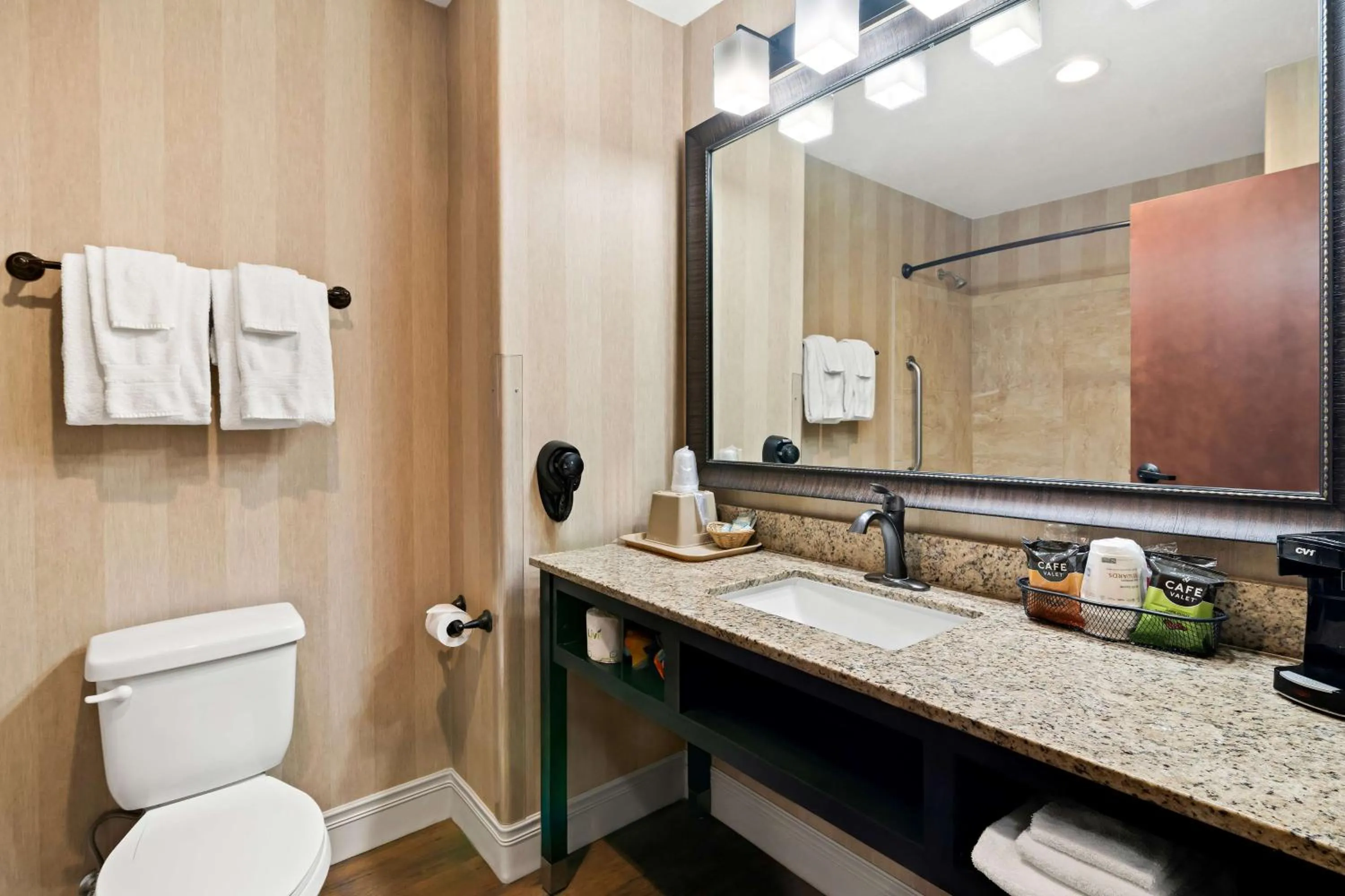 Bathroom in Best Western Newberry Station