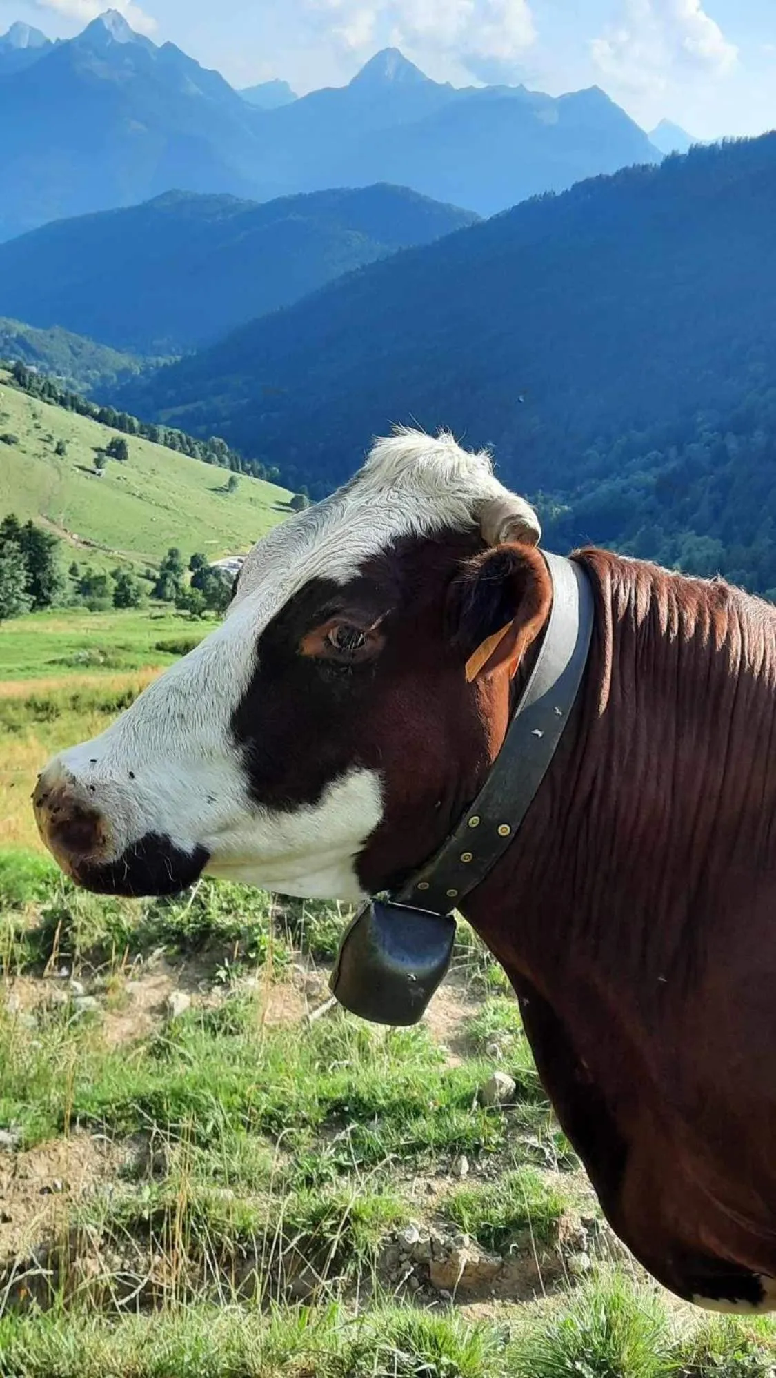 Au Refuge de Blanche