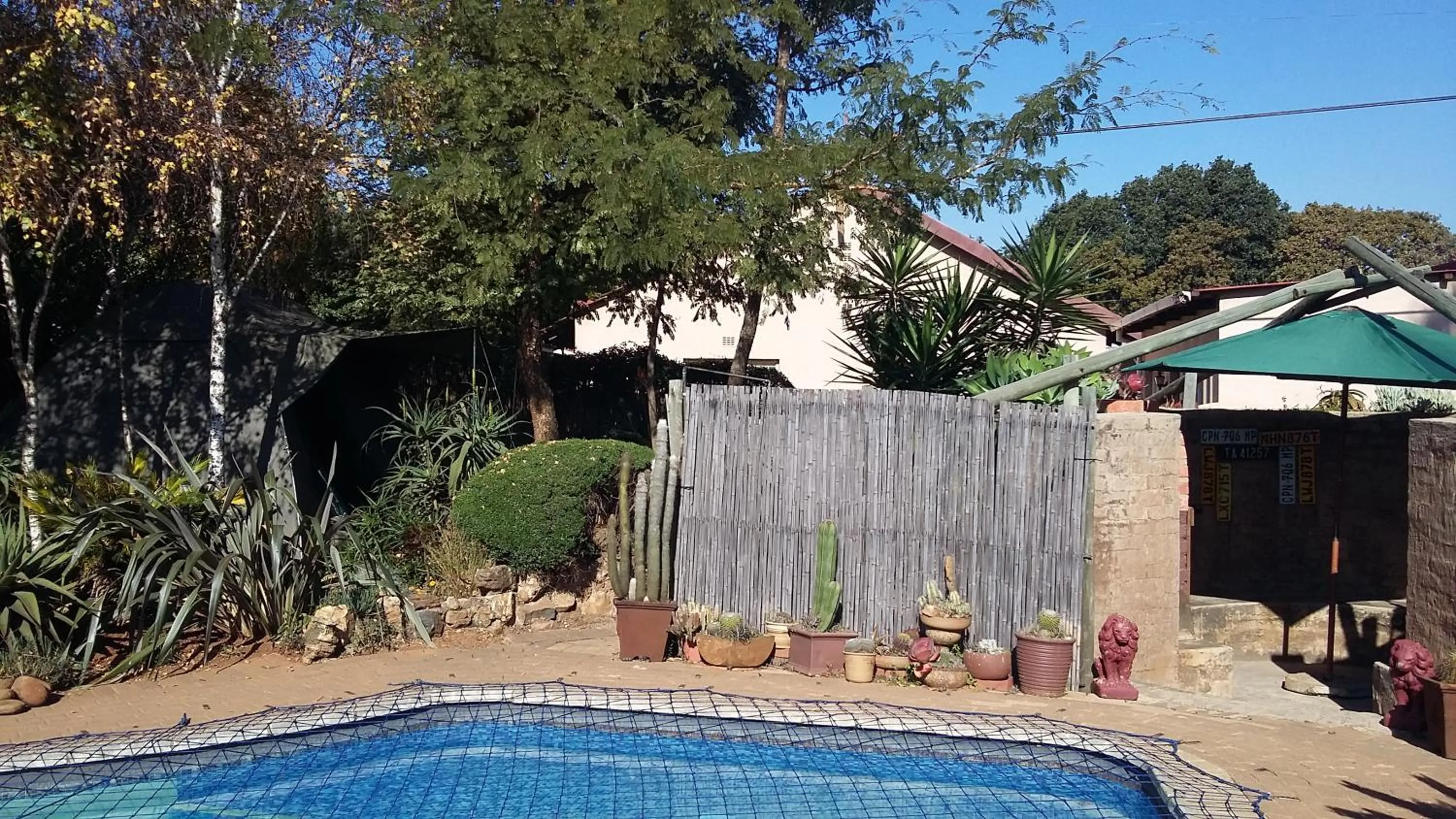 Swimming pool in Blyde Bed & Breakfast