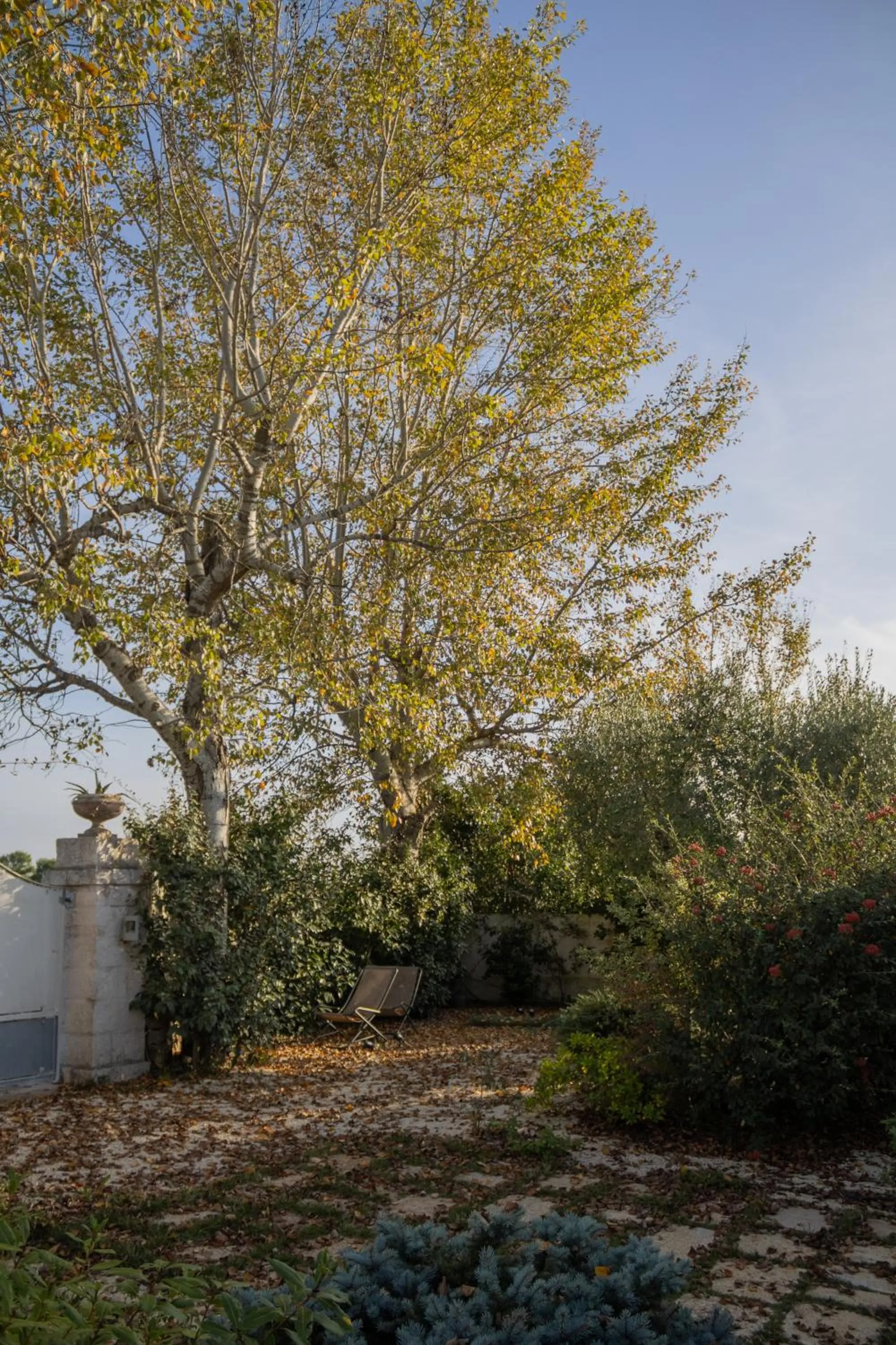 Spring in Villa Ada-Trulli Puglia