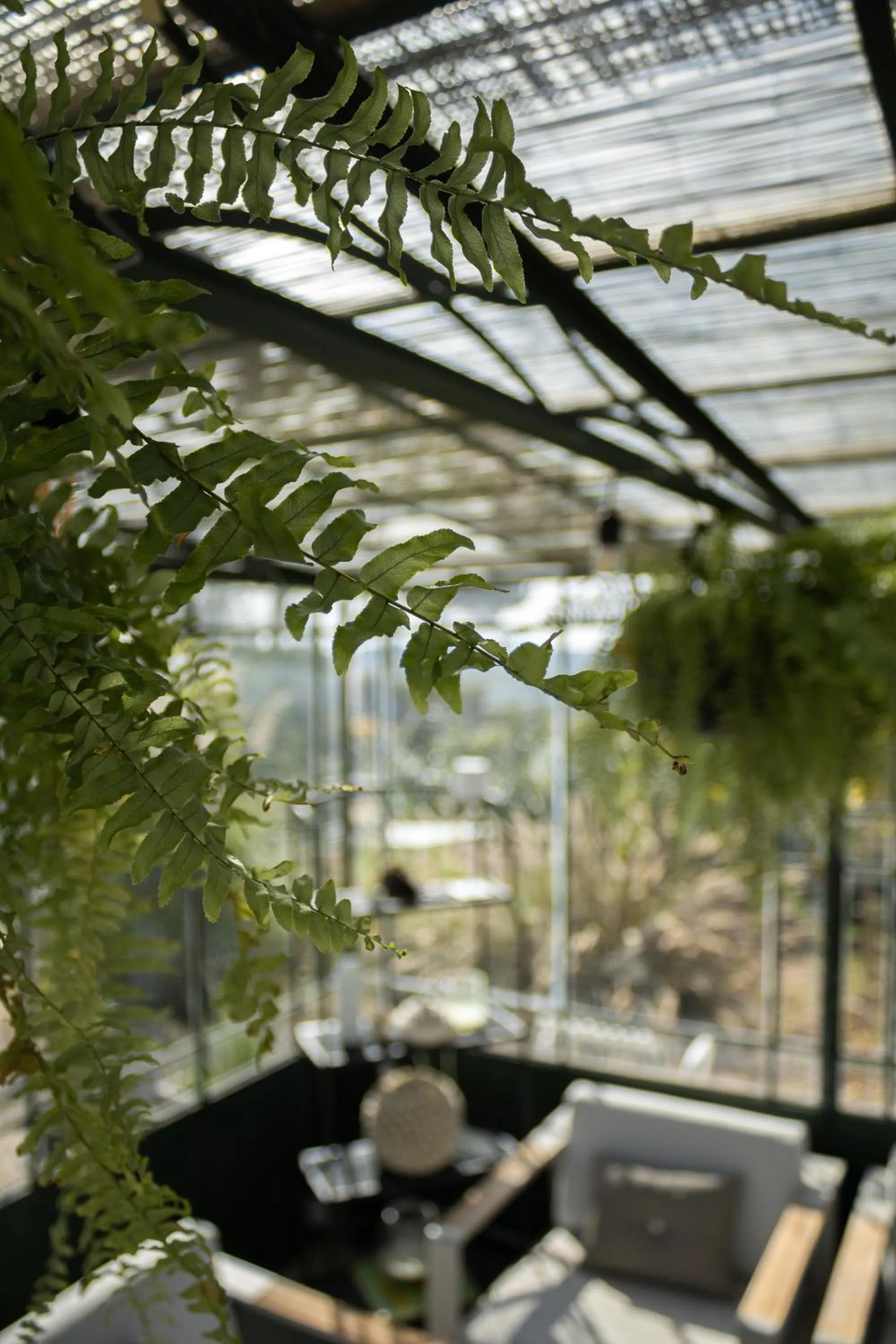 Garden in Villa Ada-Trulli Puglia