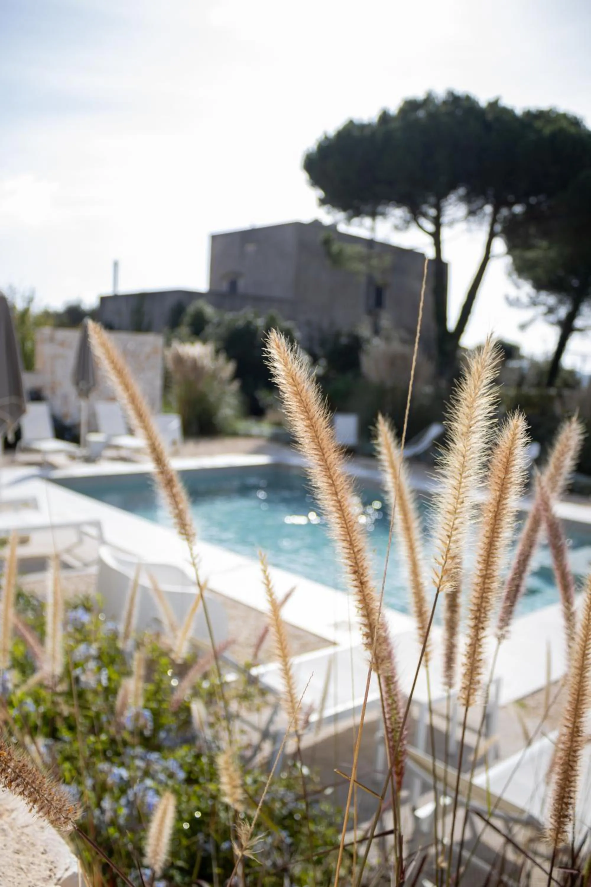 Swimming pool in Villa Ada-Trulli Puglia