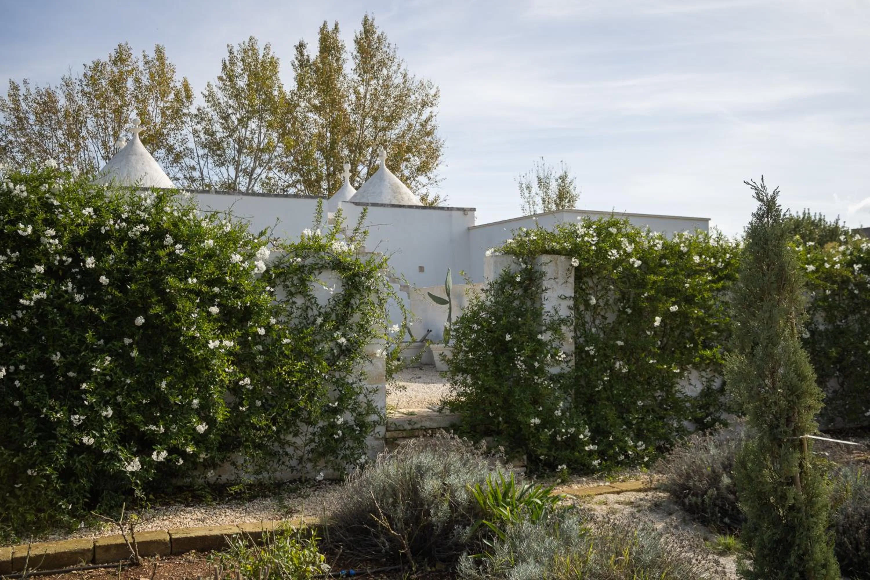 Spring in Villa Ada-Trulli Puglia