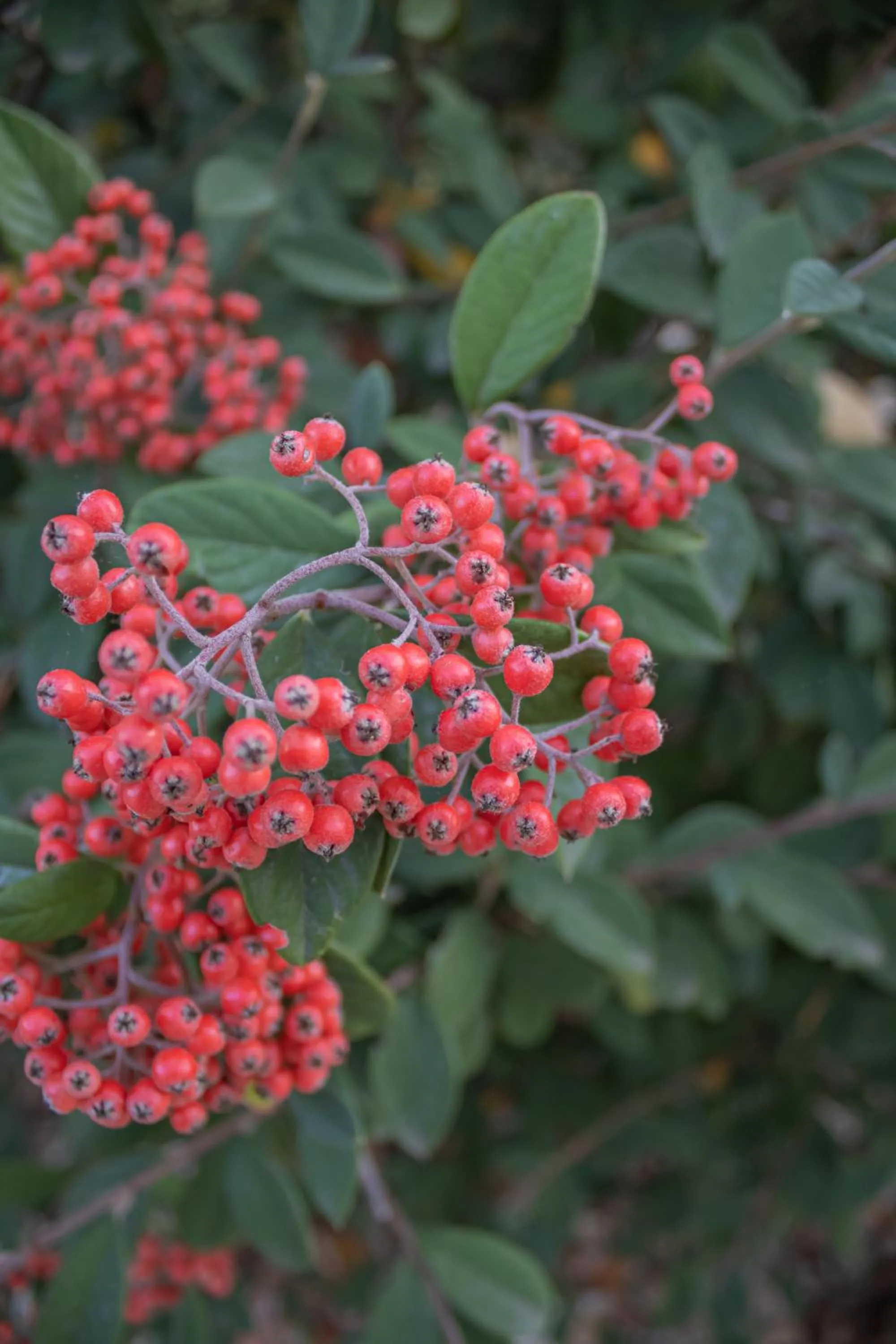 Day in Villa Ada-Trulli Puglia