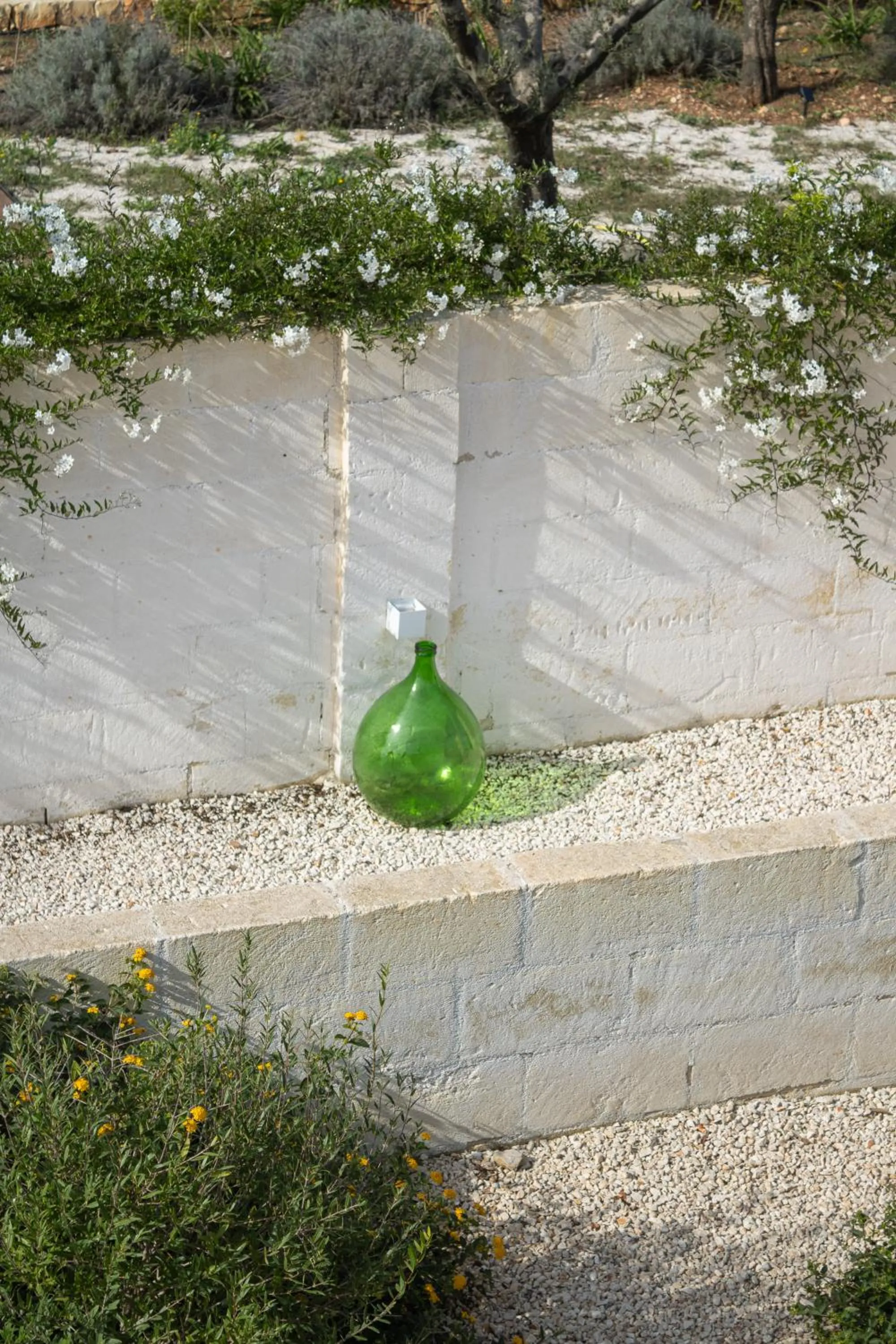 Spring in Villa Ada-Trulli Puglia