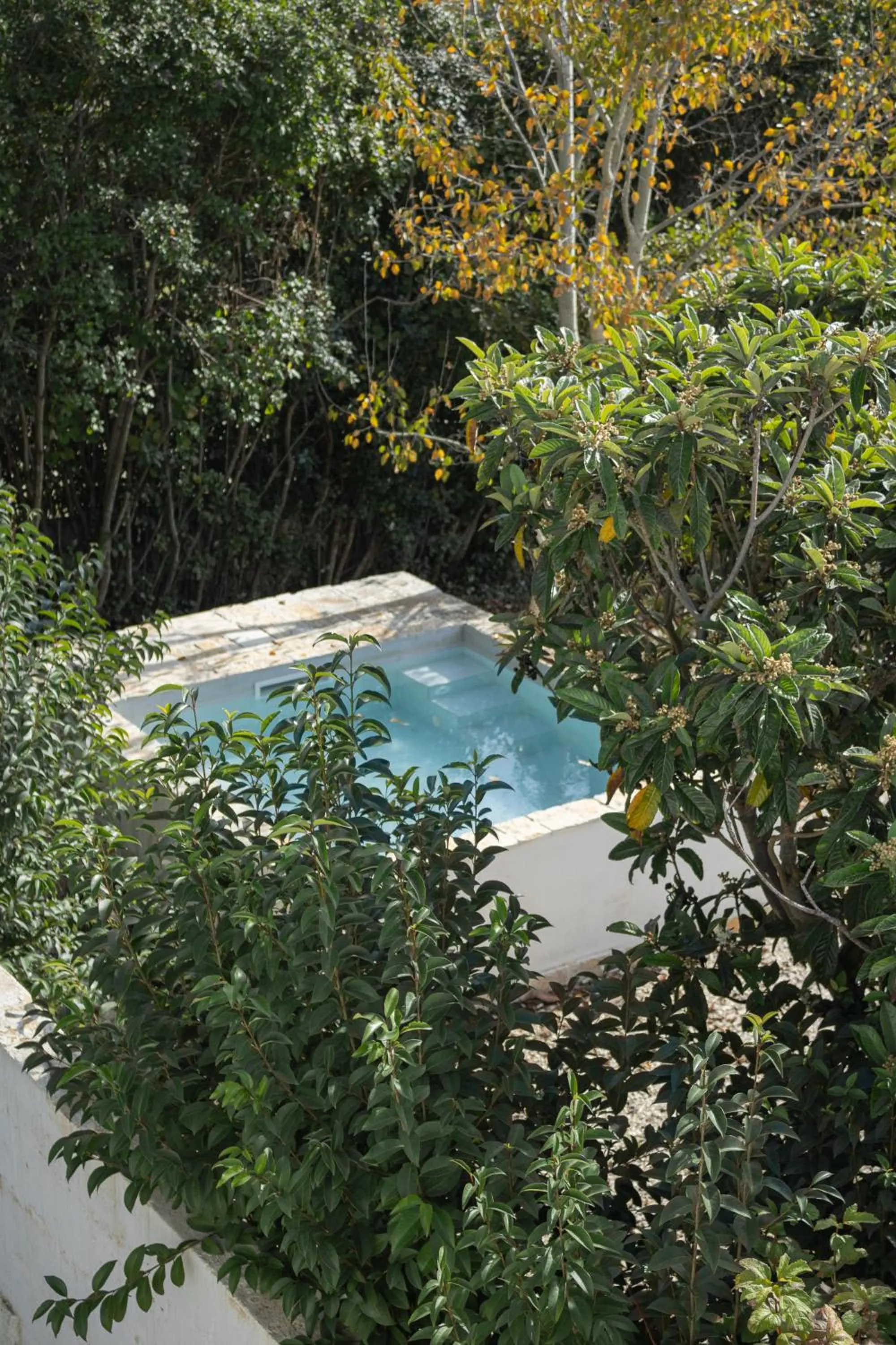 Spring in Villa Ada-Trulli Puglia