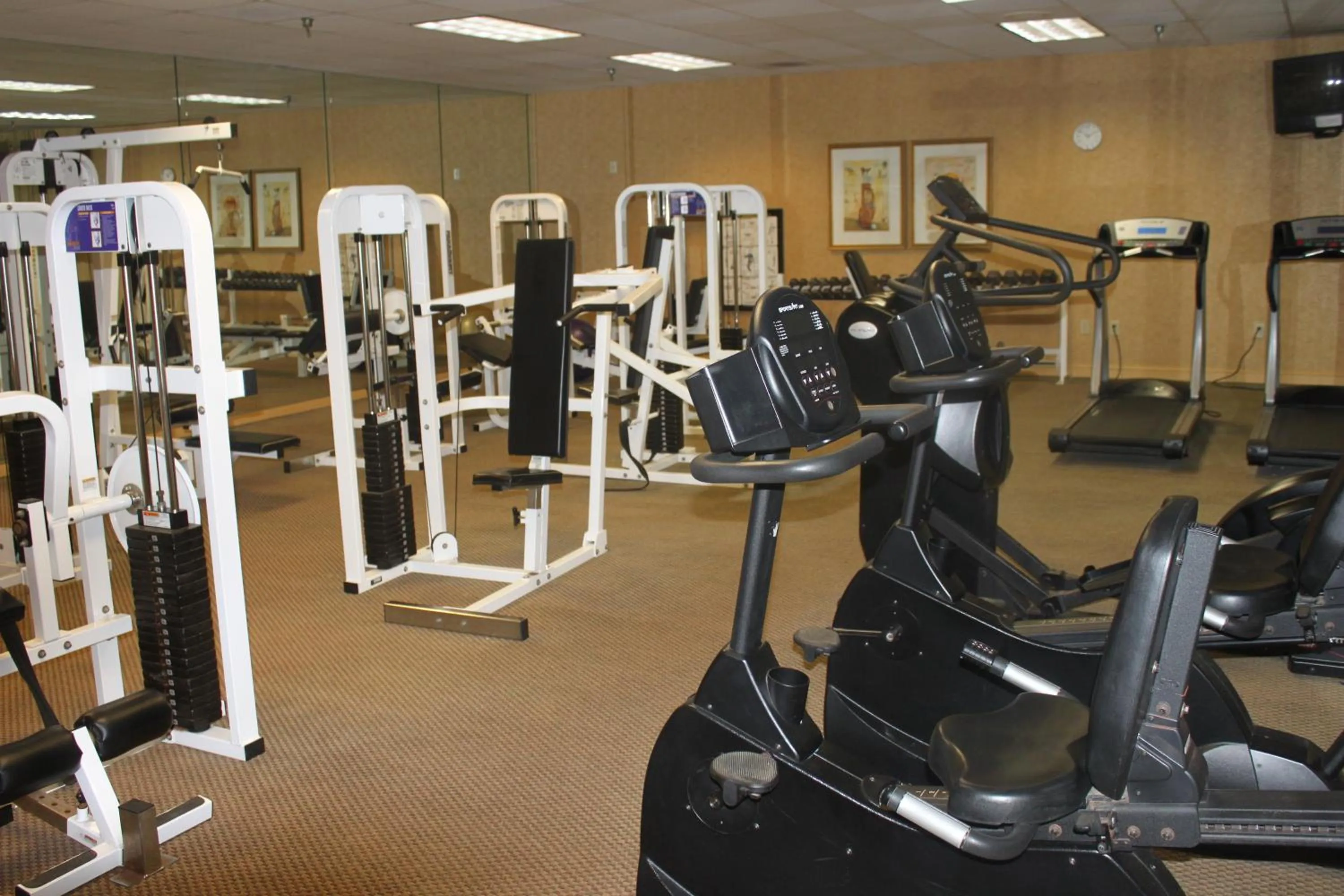 Fitness centre/facilities in Kingwood Resort & Golf Club