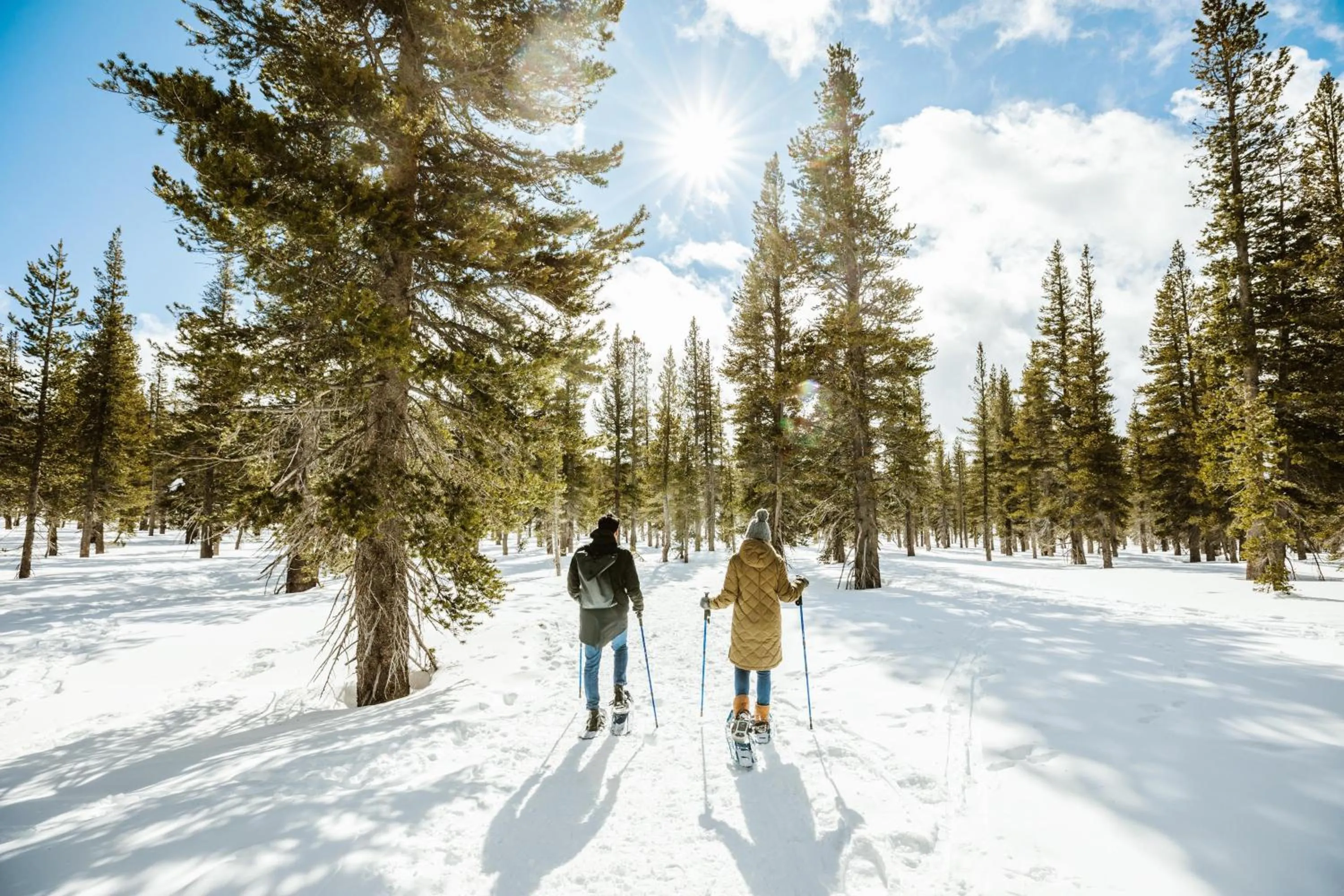 Location in Hyatt Regency Lake Tahoe Resort, Spa & Casino