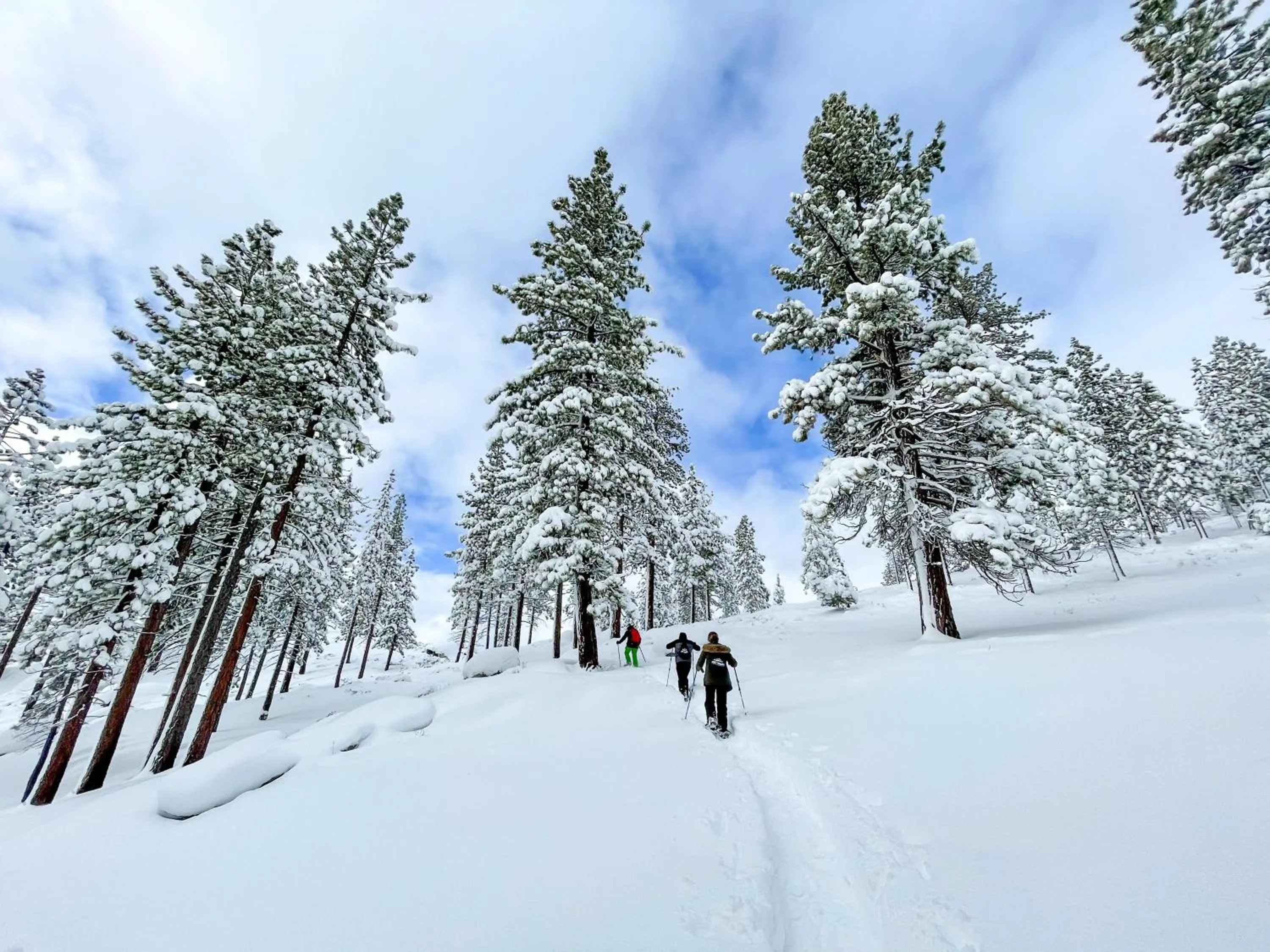 Location in Hyatt Regency Lake Tahoe Resort, Spa & Casino