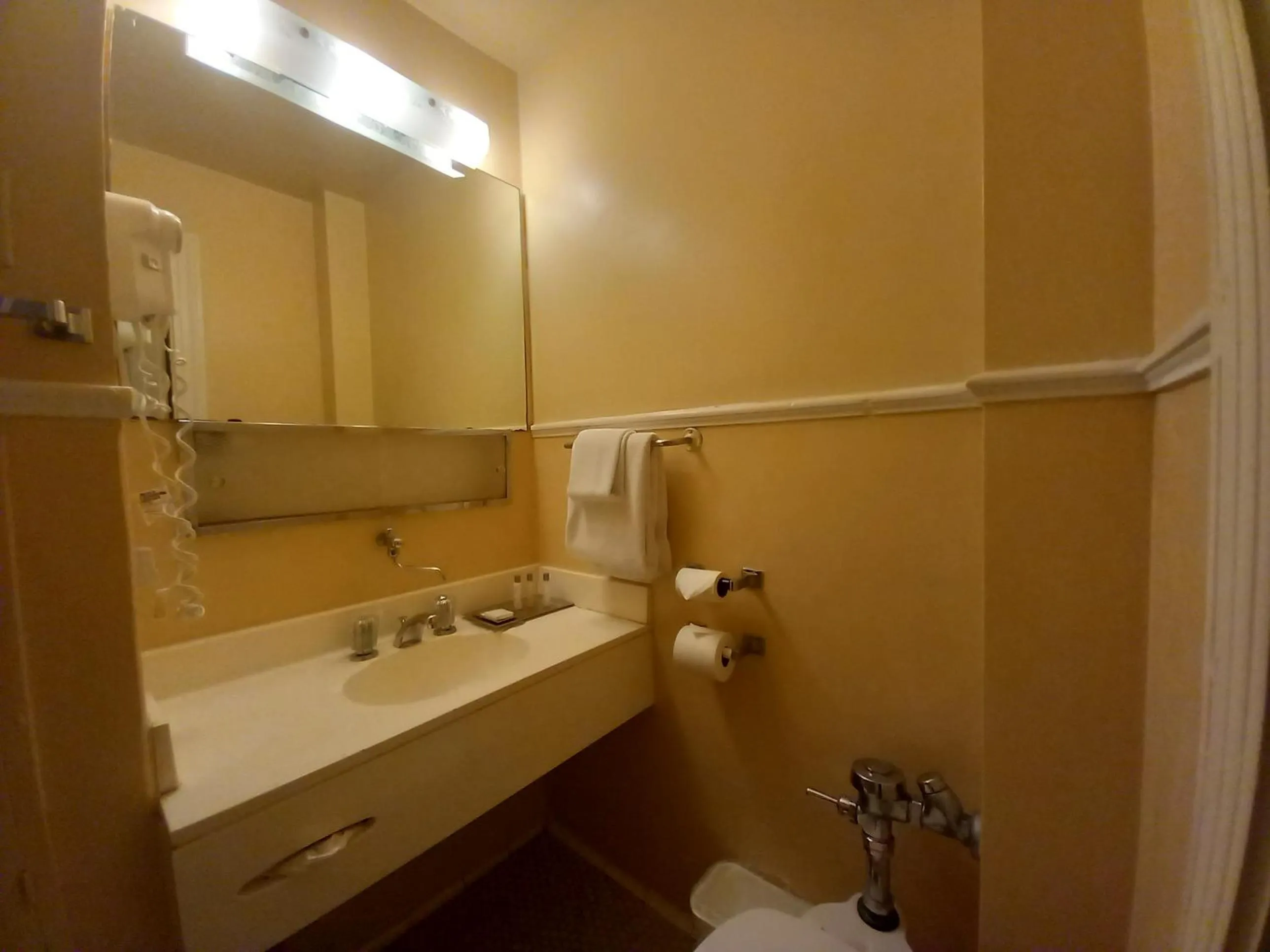 Bathroom in Arlington Resort Hotel & Spa