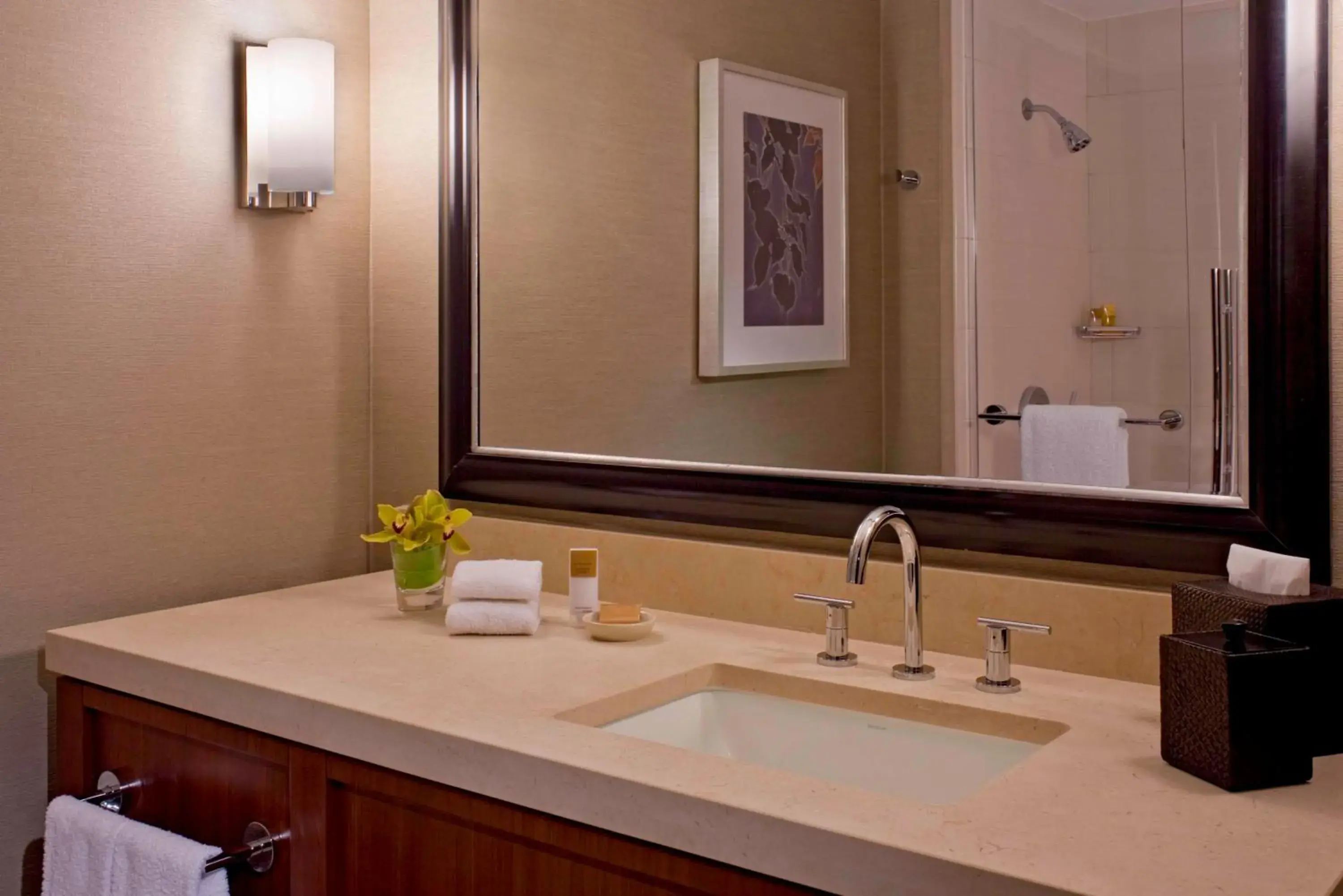 King Room with Accessible Shower - Disability Access in Hyatt Regency Sacramento King Room with Accessible Shower - Disability Access in Hyatt Regency Sacramento