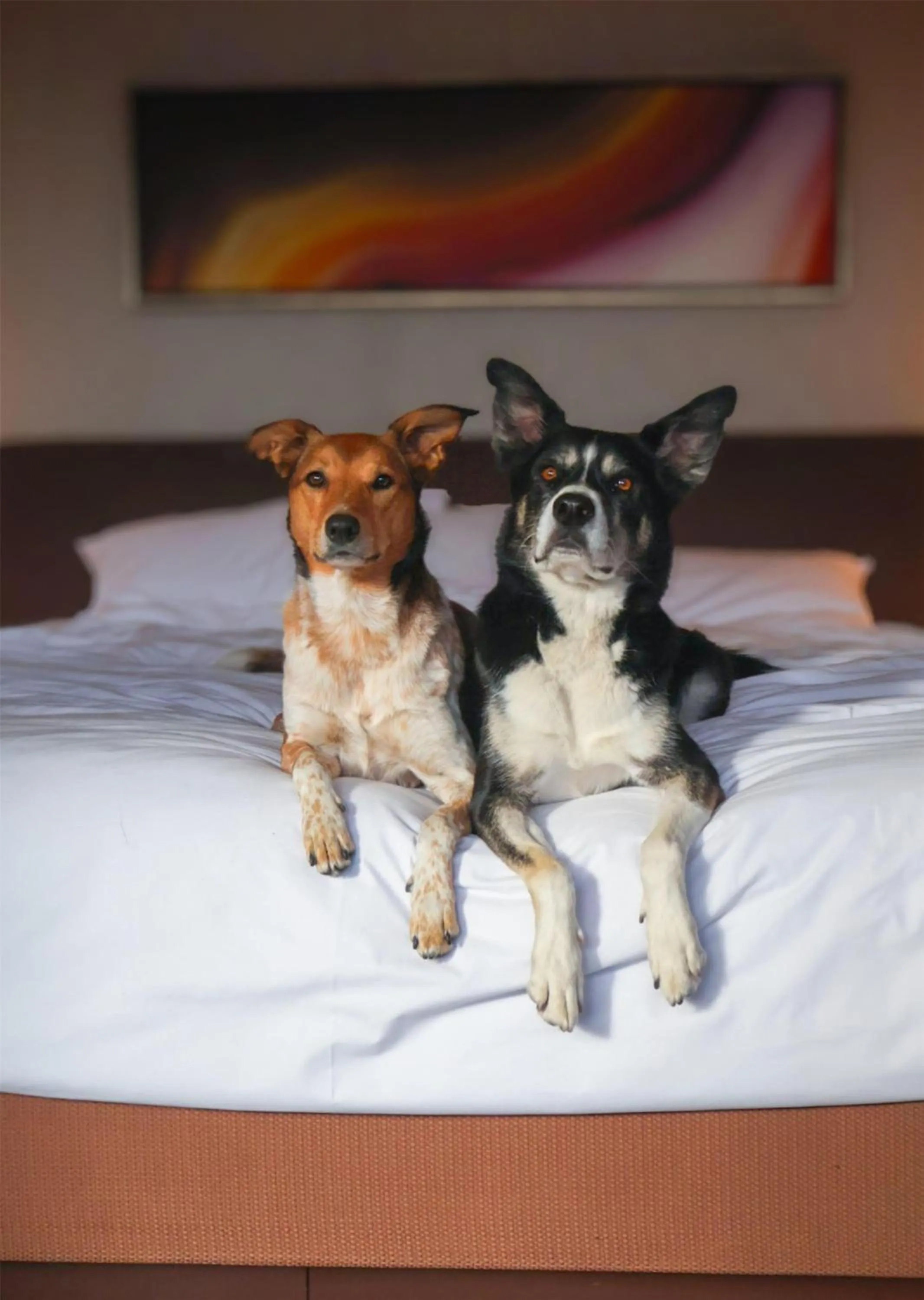 Bedroom in Grand Hyatt Denver