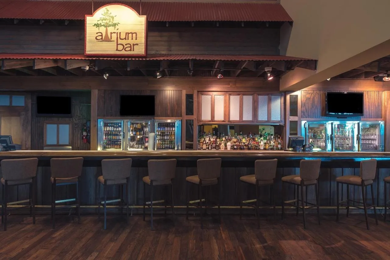 Lounge or bar in Paragon Casino Resort