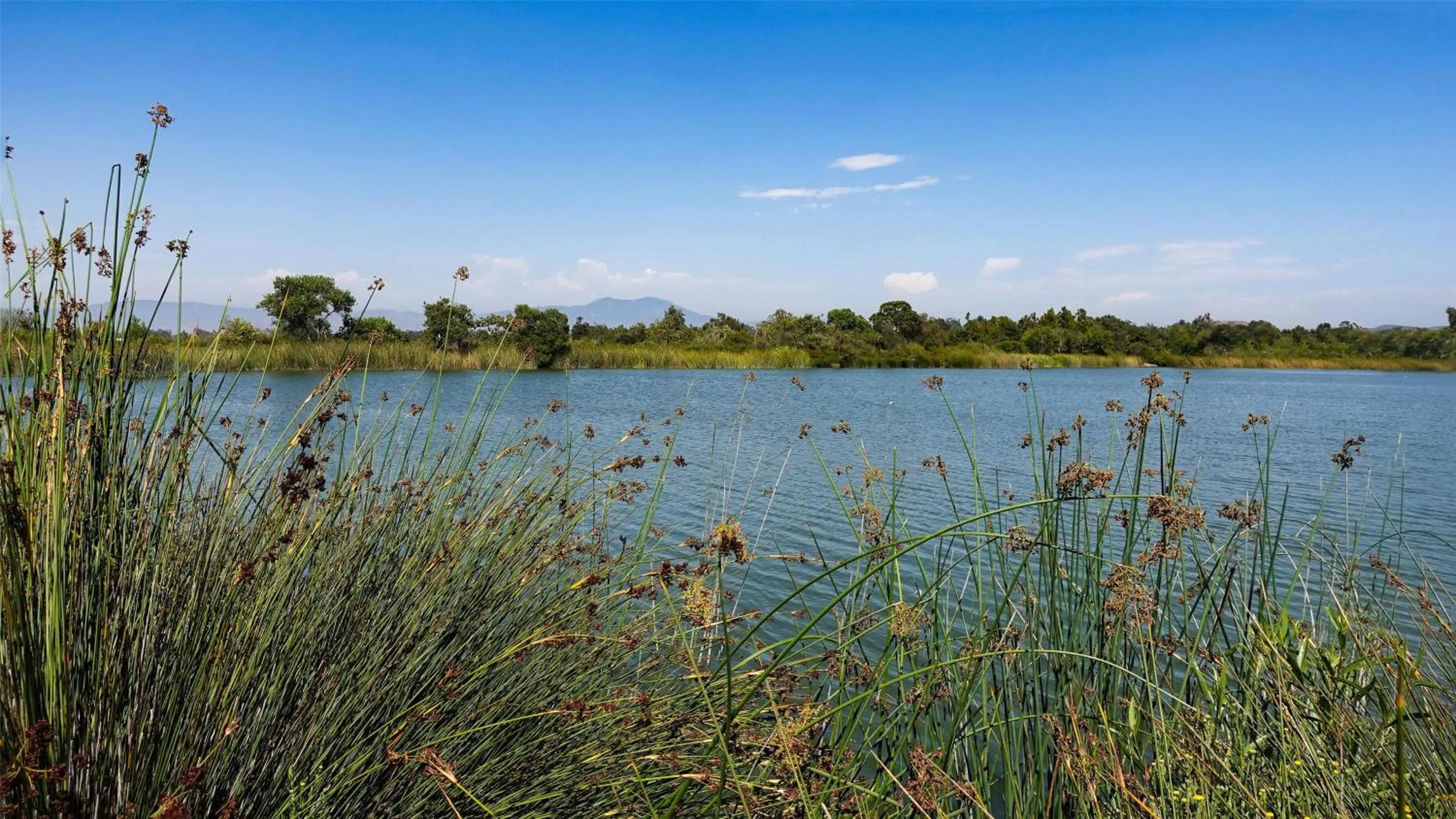 Location in Hyatt Regency Irvine