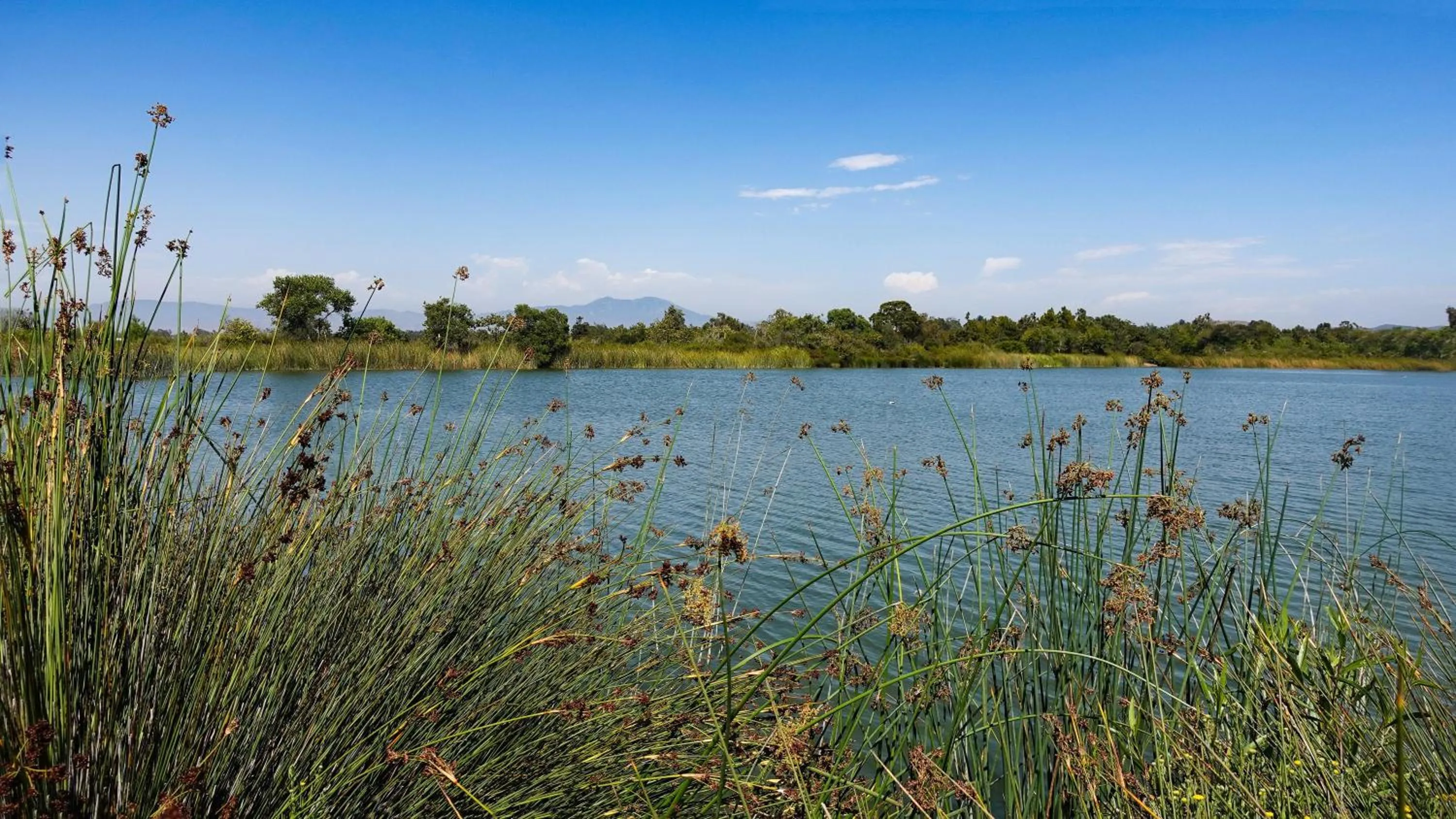Location in Hyatt Regency Irvine