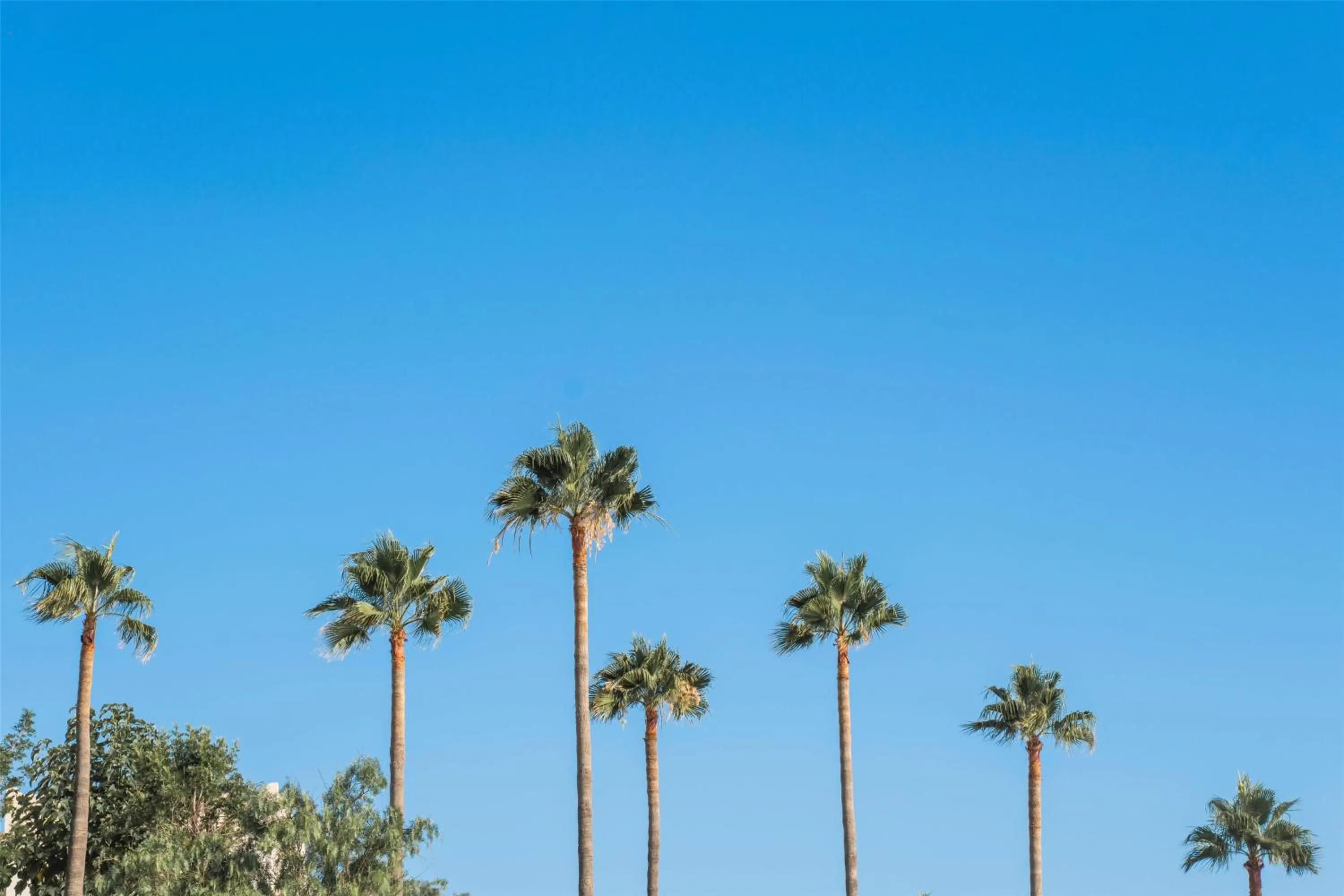 Location in Hyatt Regency Irvine