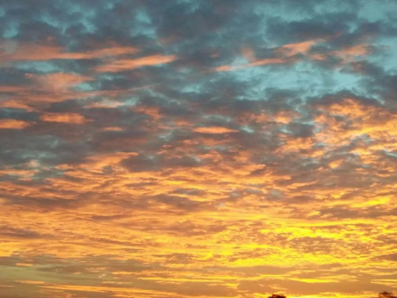 Gold Coast Morib International Resort 摩立黄金海岸度假屋