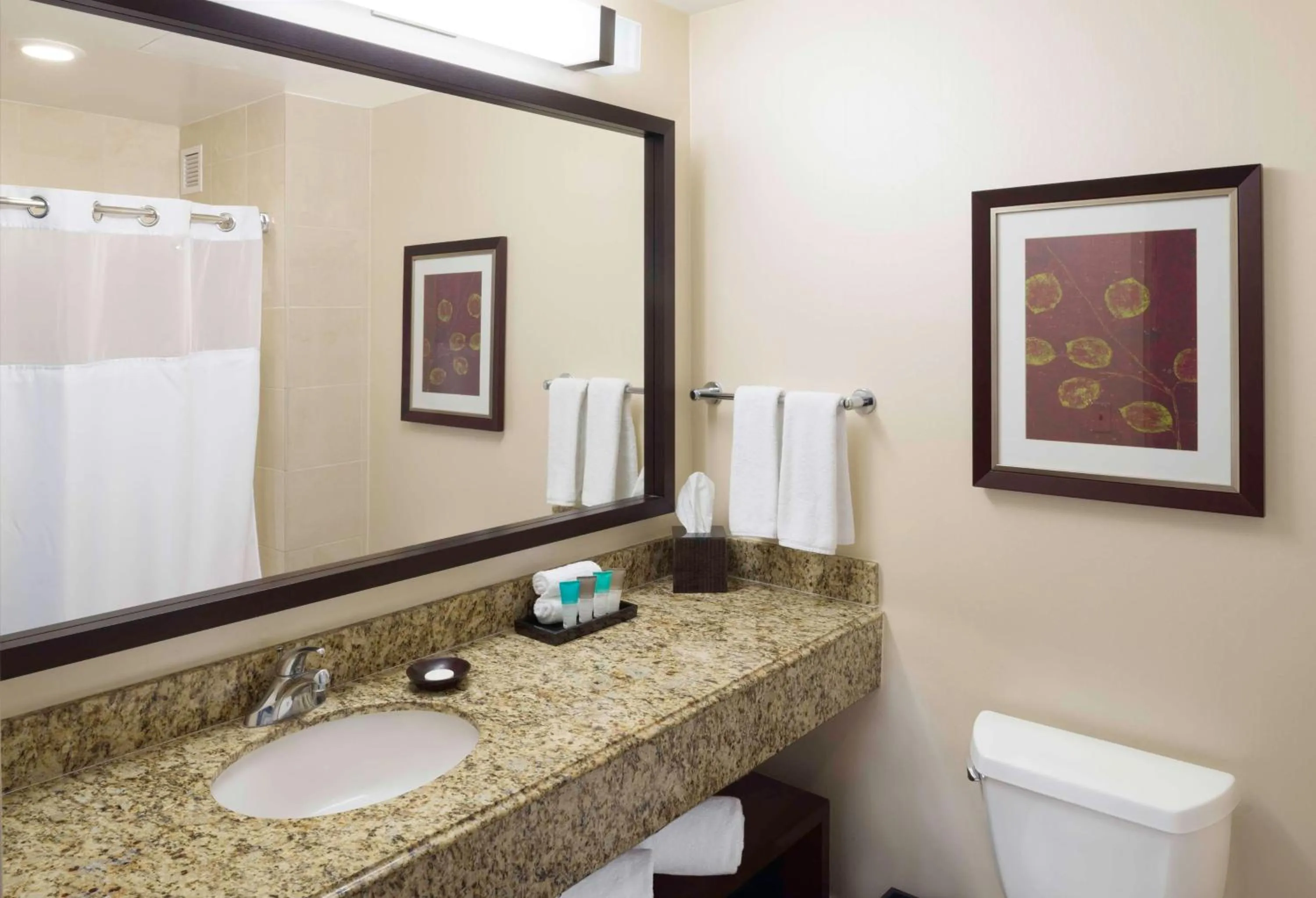 Bathroom in Hyatt Regency Orange County