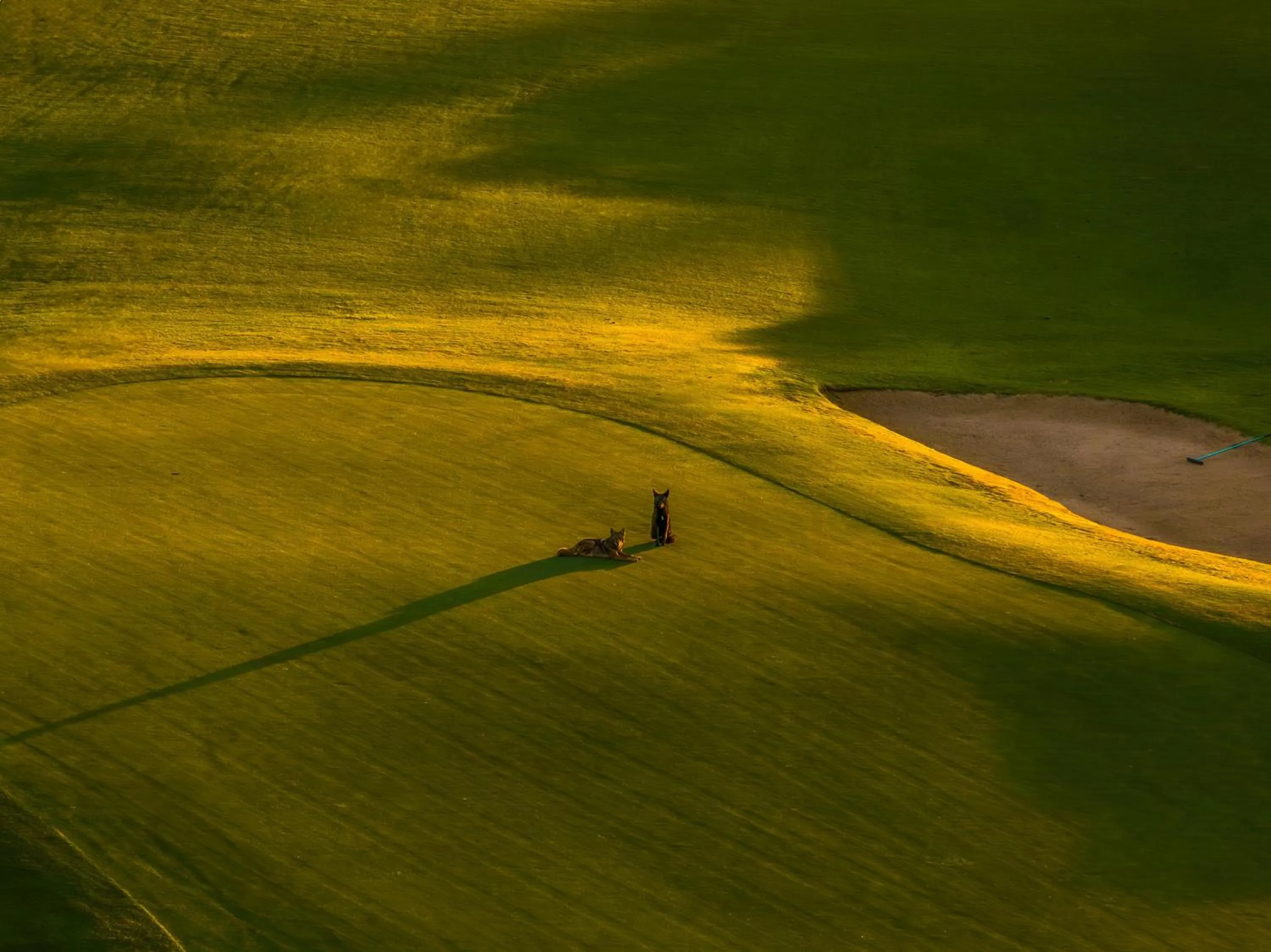 Fitness centre/facilities in Omni Orlando Resort at Championsgate