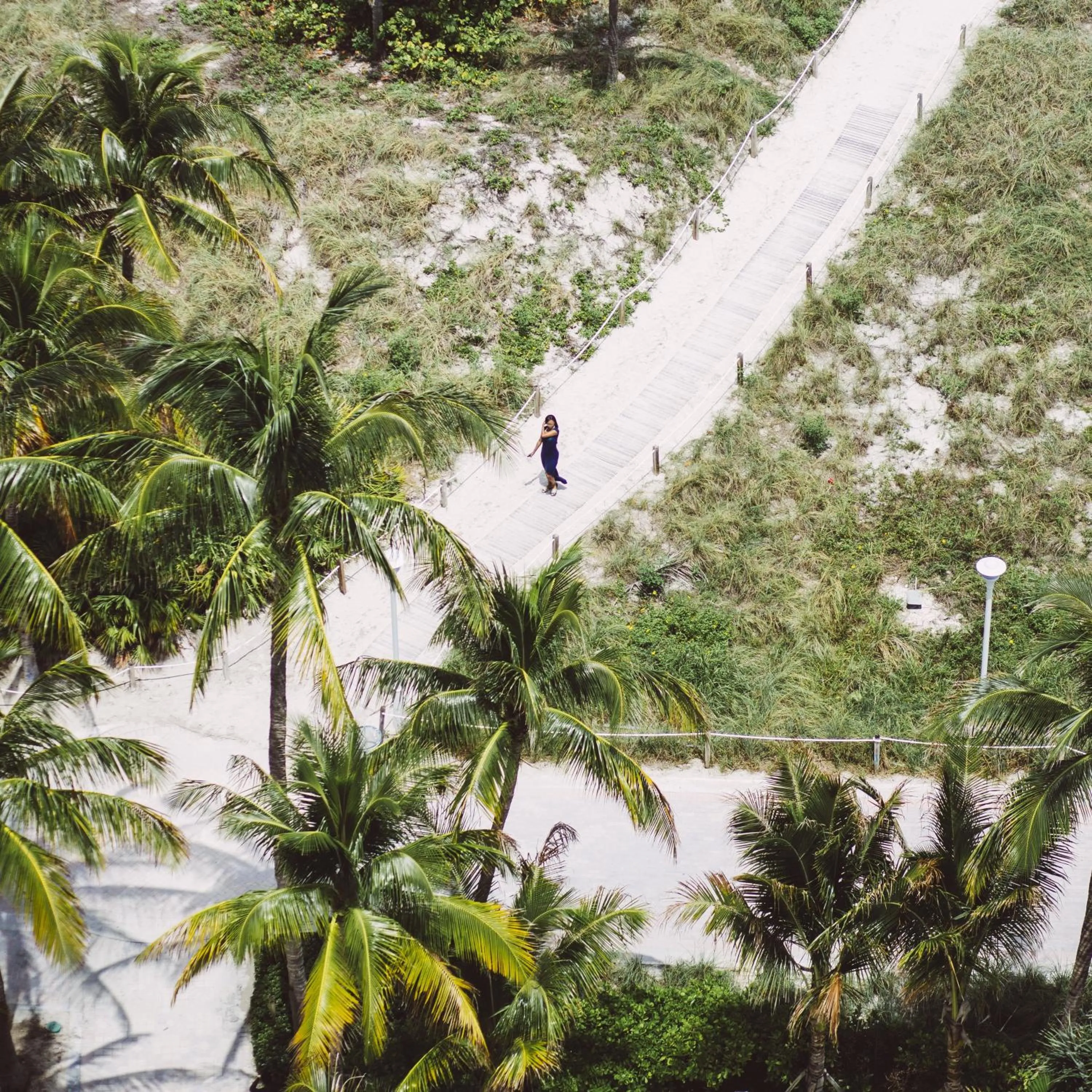Beach in Loews Miami Beach Hotel