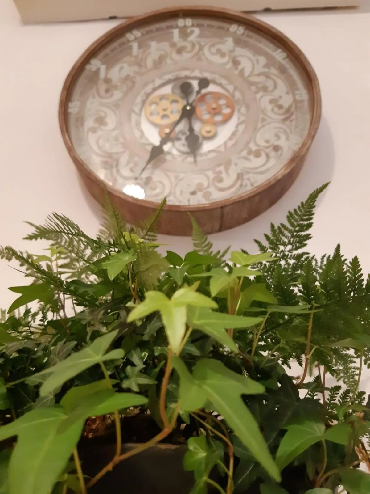 Donna Lucrezia dimora a corte B&B