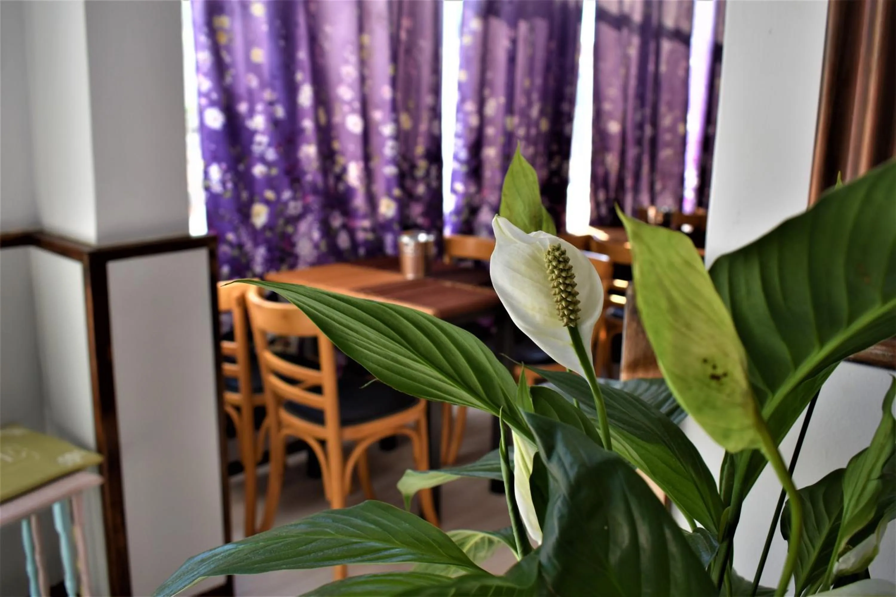 Aphrodite Art Hotel Aegina