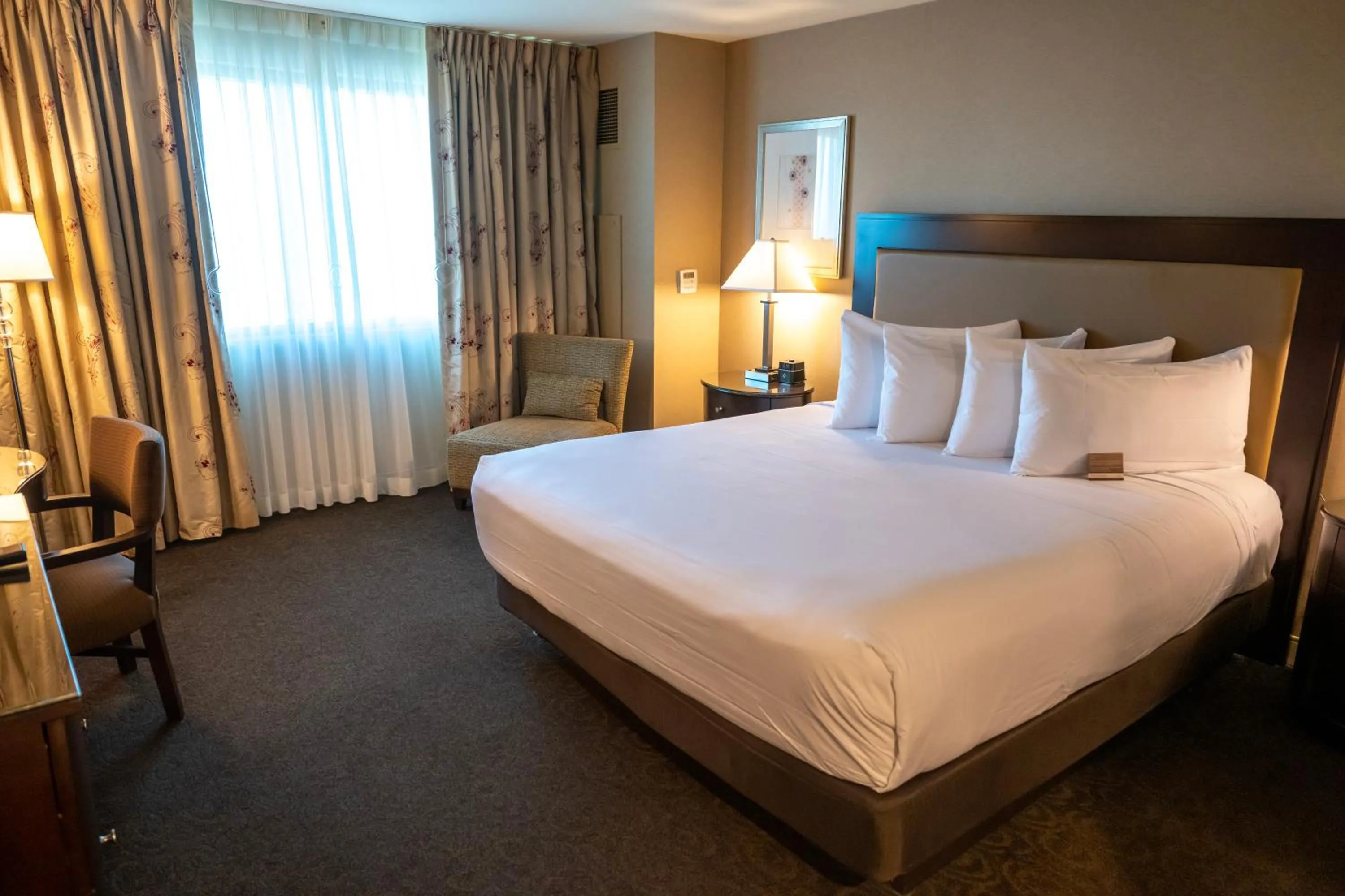 Deluxe King Studio in Gold Strike Casino Resort