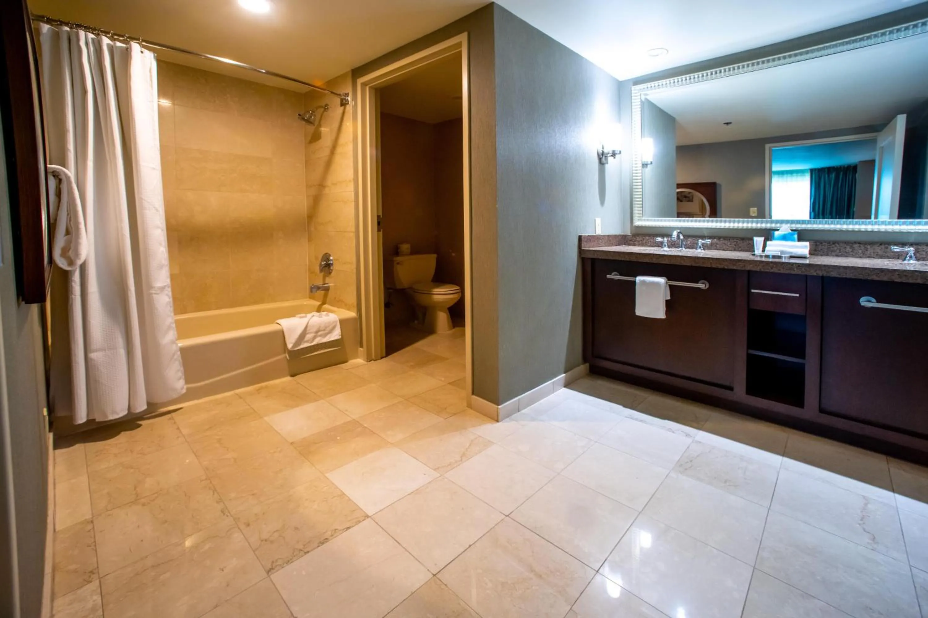 Bathroom in Gold Strike Casino Resort