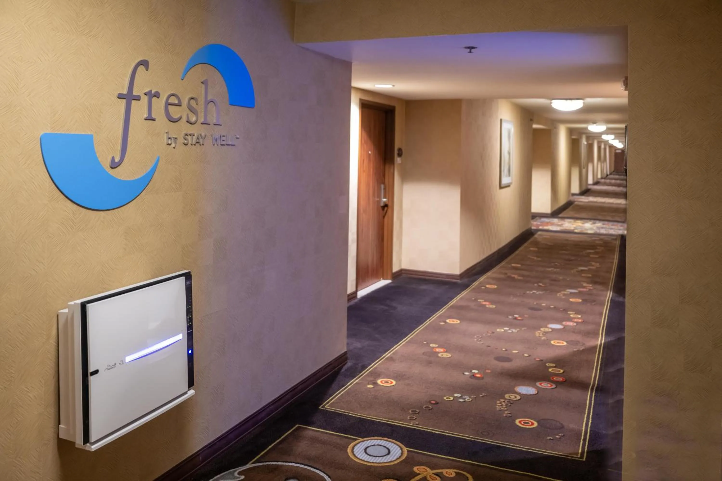 Certificate/Award in Gold Strike Casino Resort