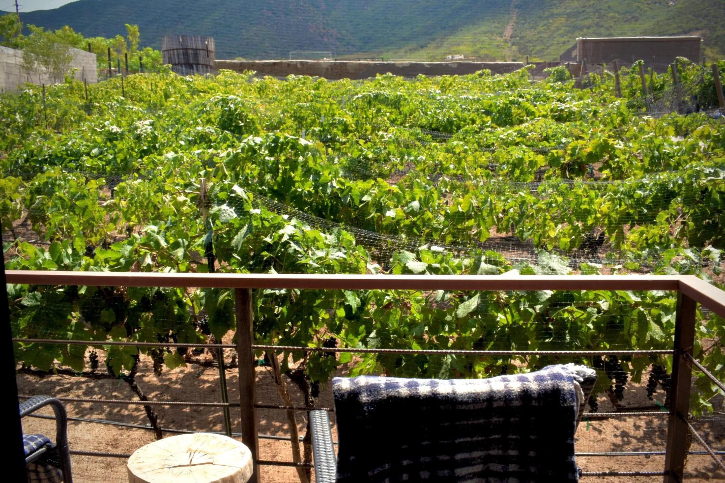 Mountain view in UvaUva eco-retreat