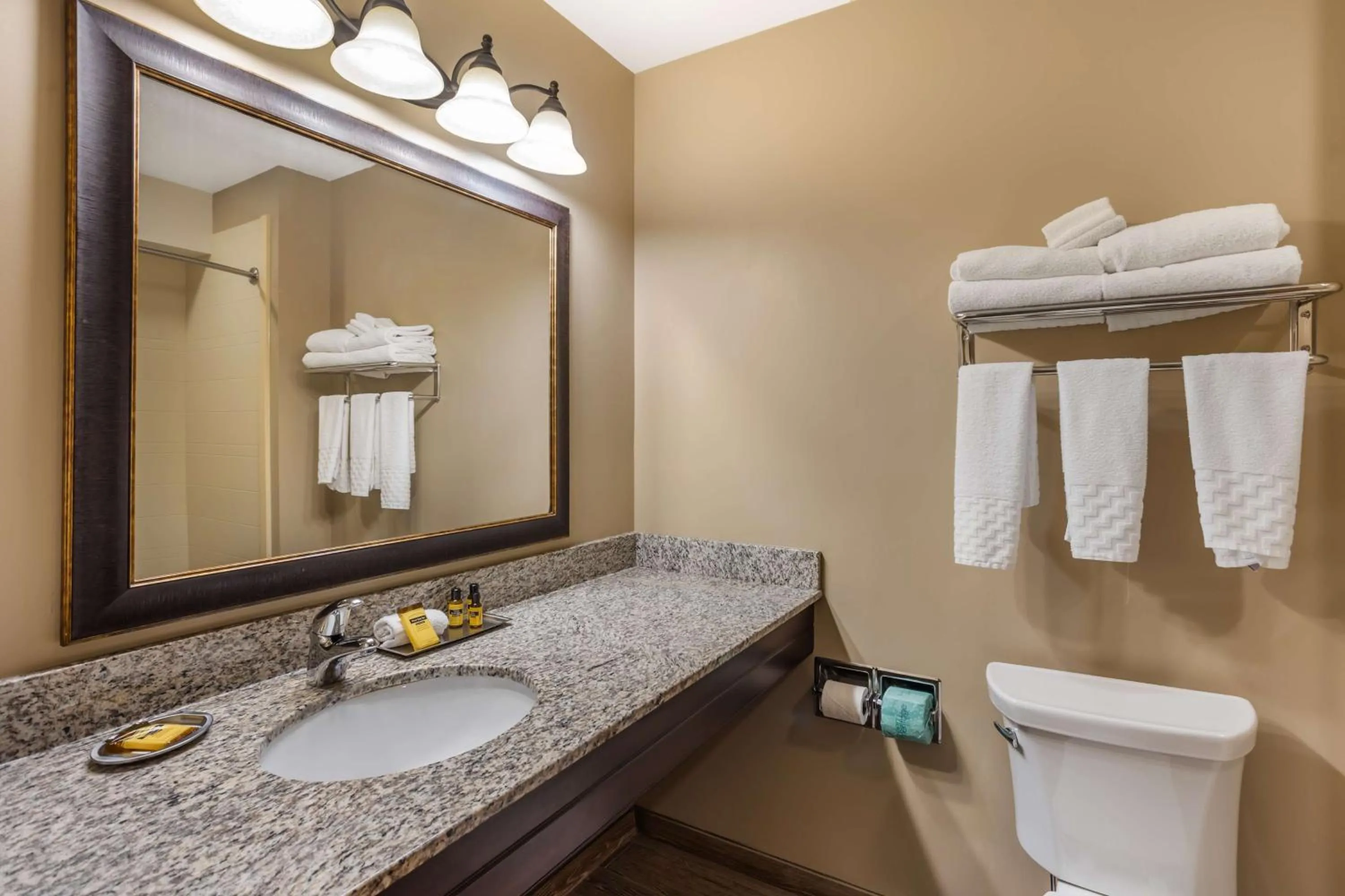 Bathroom in Best Western Plus Intercourse Village Inn