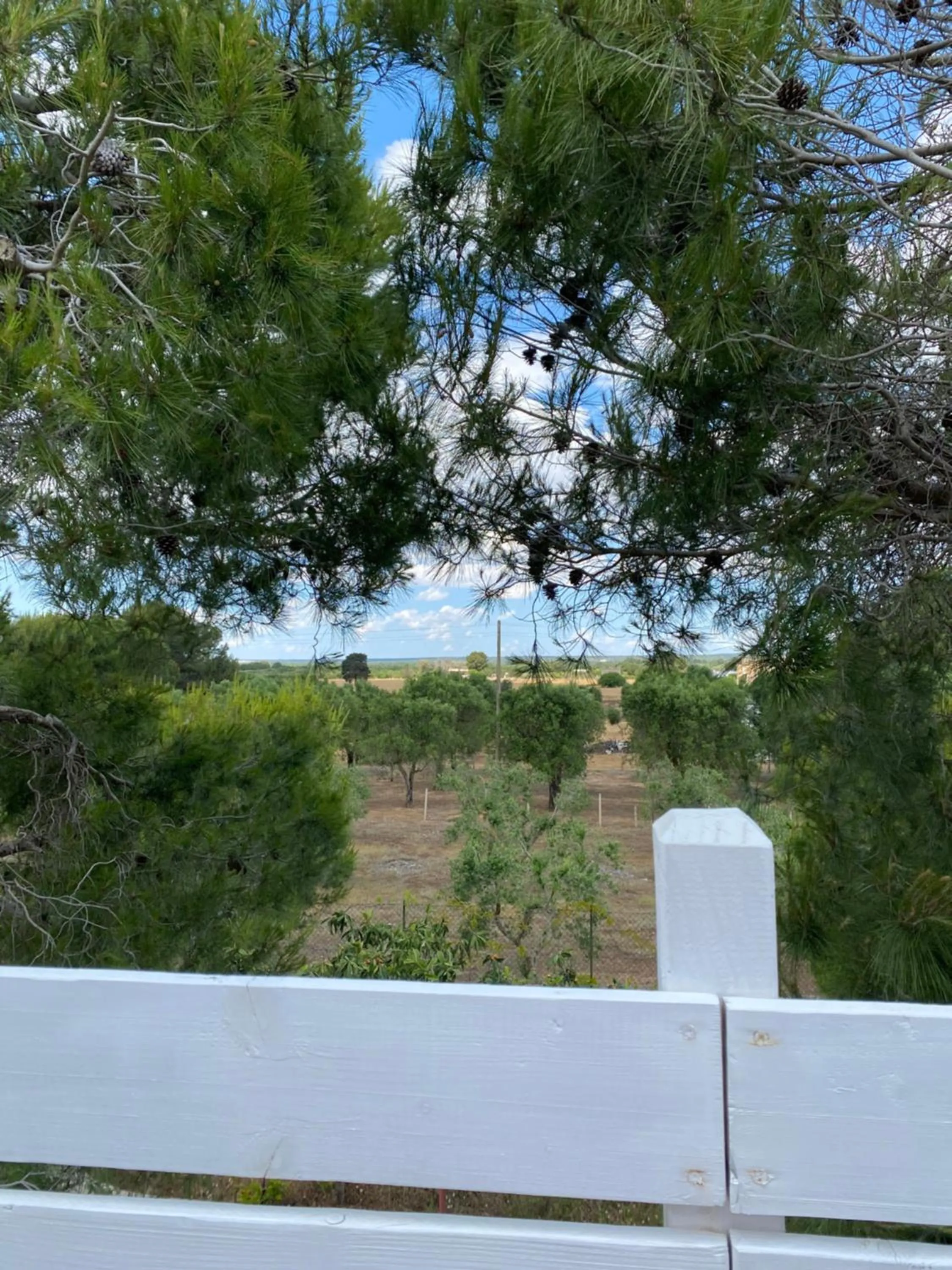 Natural landscape in Pinulà