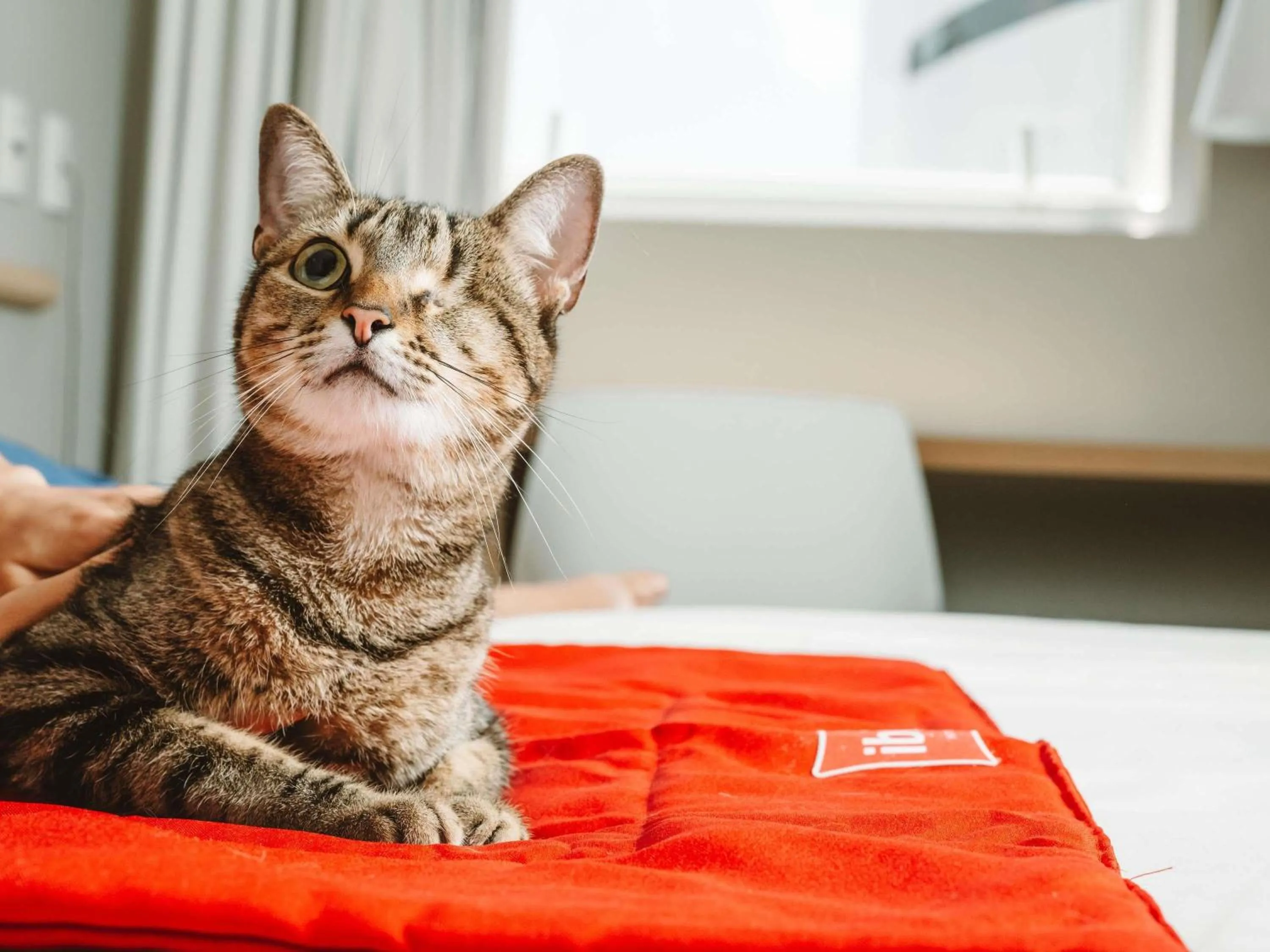 Other in ibis Juazeiro do Norte