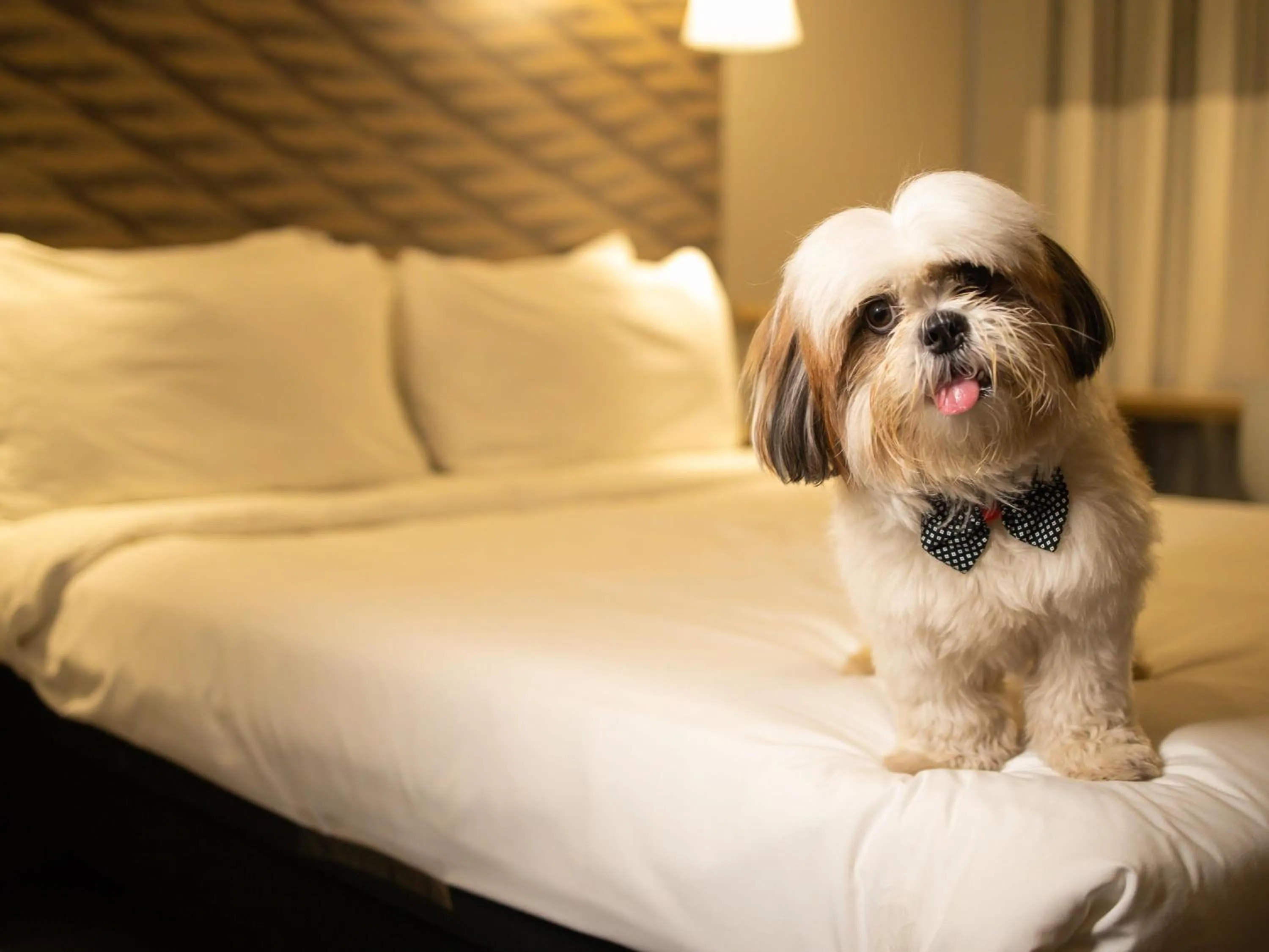 Bedroom, Bed in ibis Juazeiro do Norte
