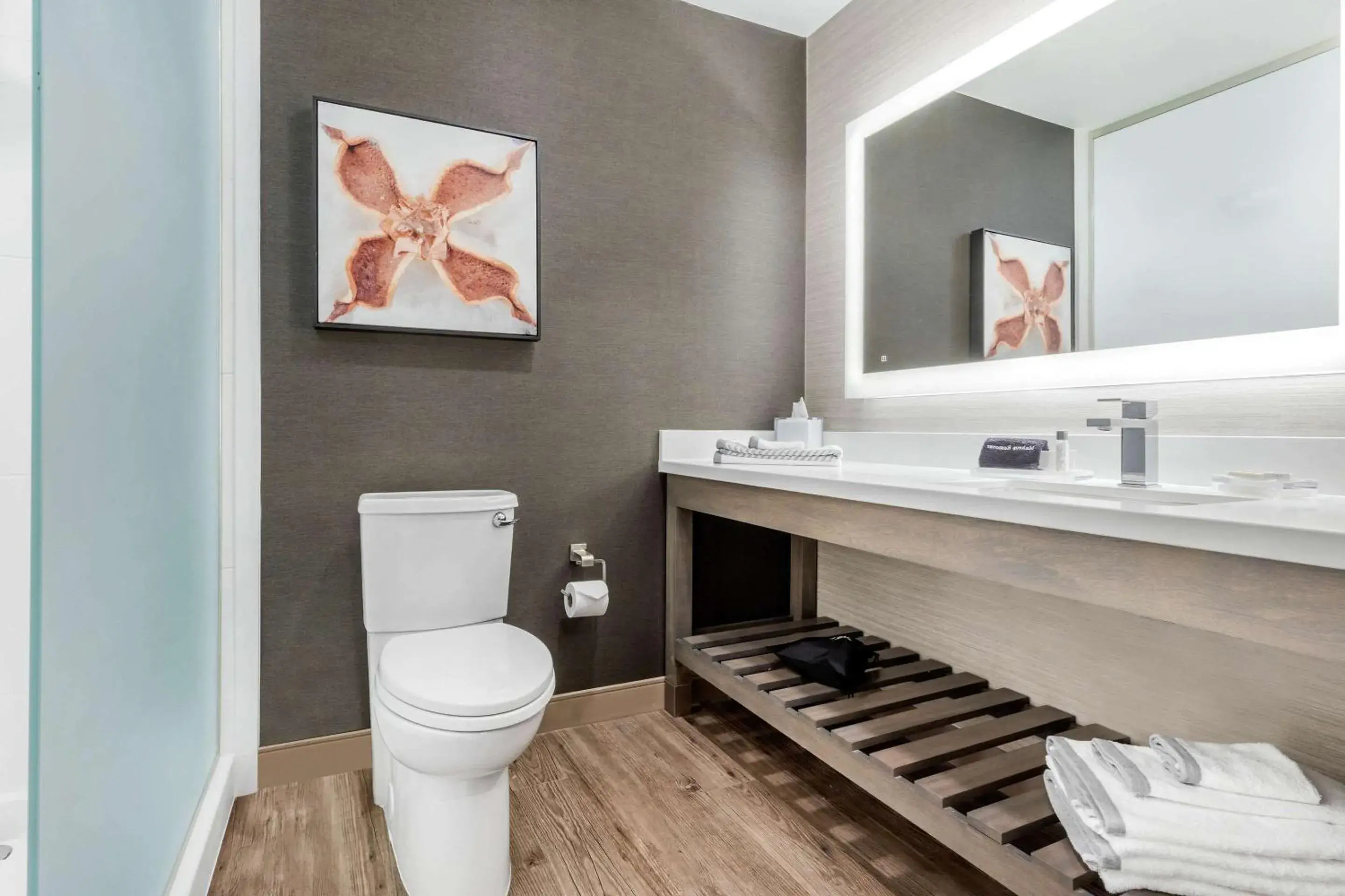 Efficiency King Suite with Sofa - single occupancy - Non Smoking in Cambria Hotel Fort Mill Efficiency King Suite with Sofa - single occupancy - Non Smoking in Cambria Hotel Fort Mill