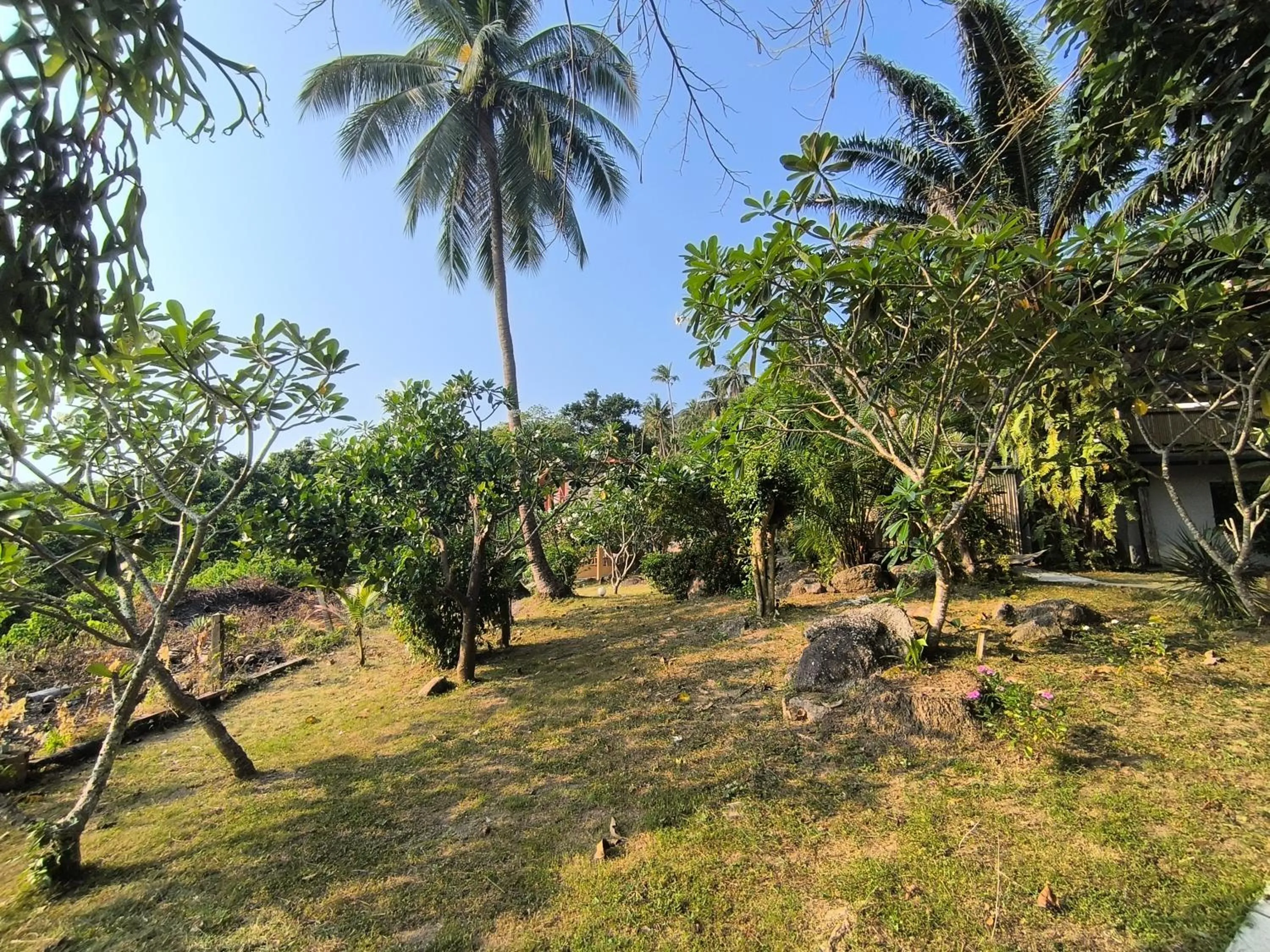 Garden in Sairee View Resort