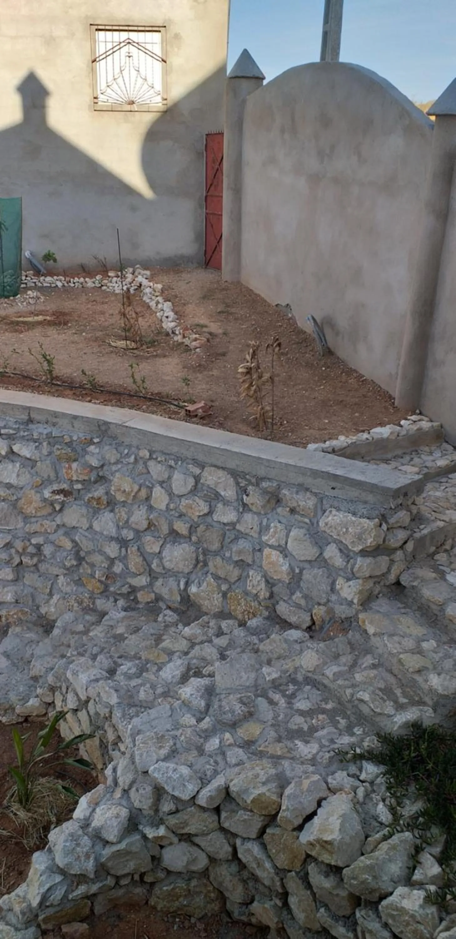 Garden view in MAISON D’HÔTE LES TORTUES -