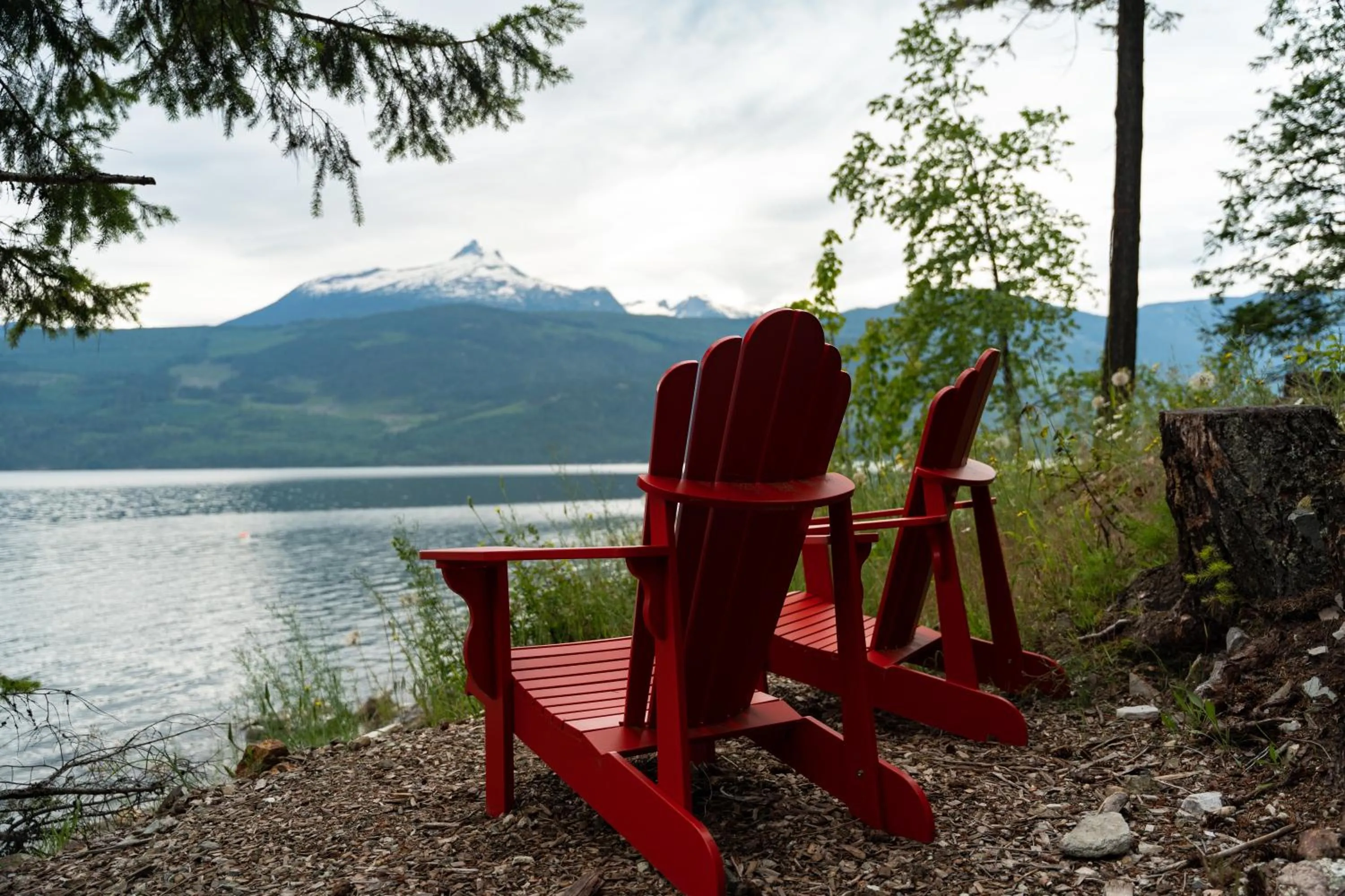 Natural landscape in Halcyon Hot Springs Resort