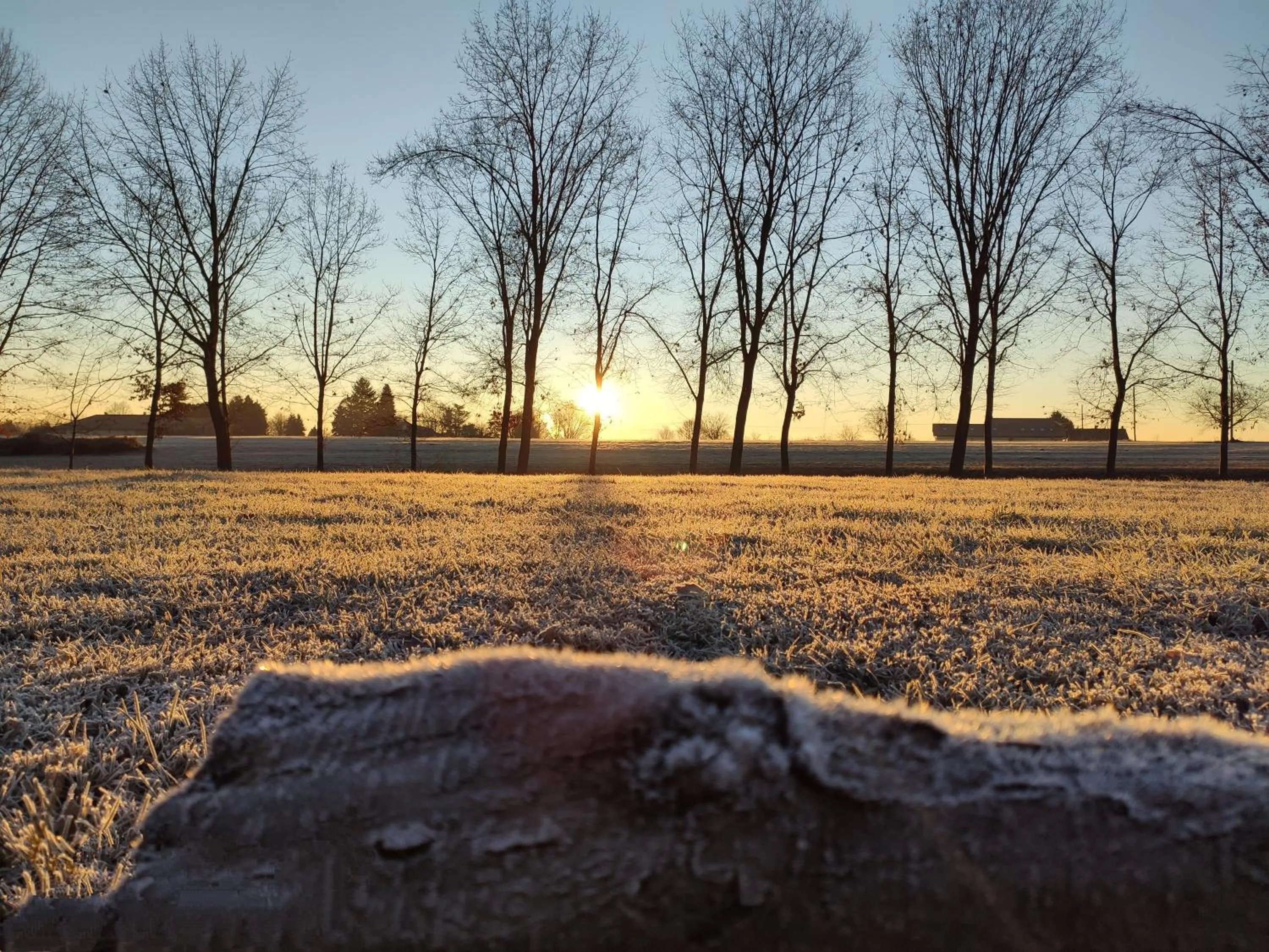 Natural landscape in Cascina Cortese