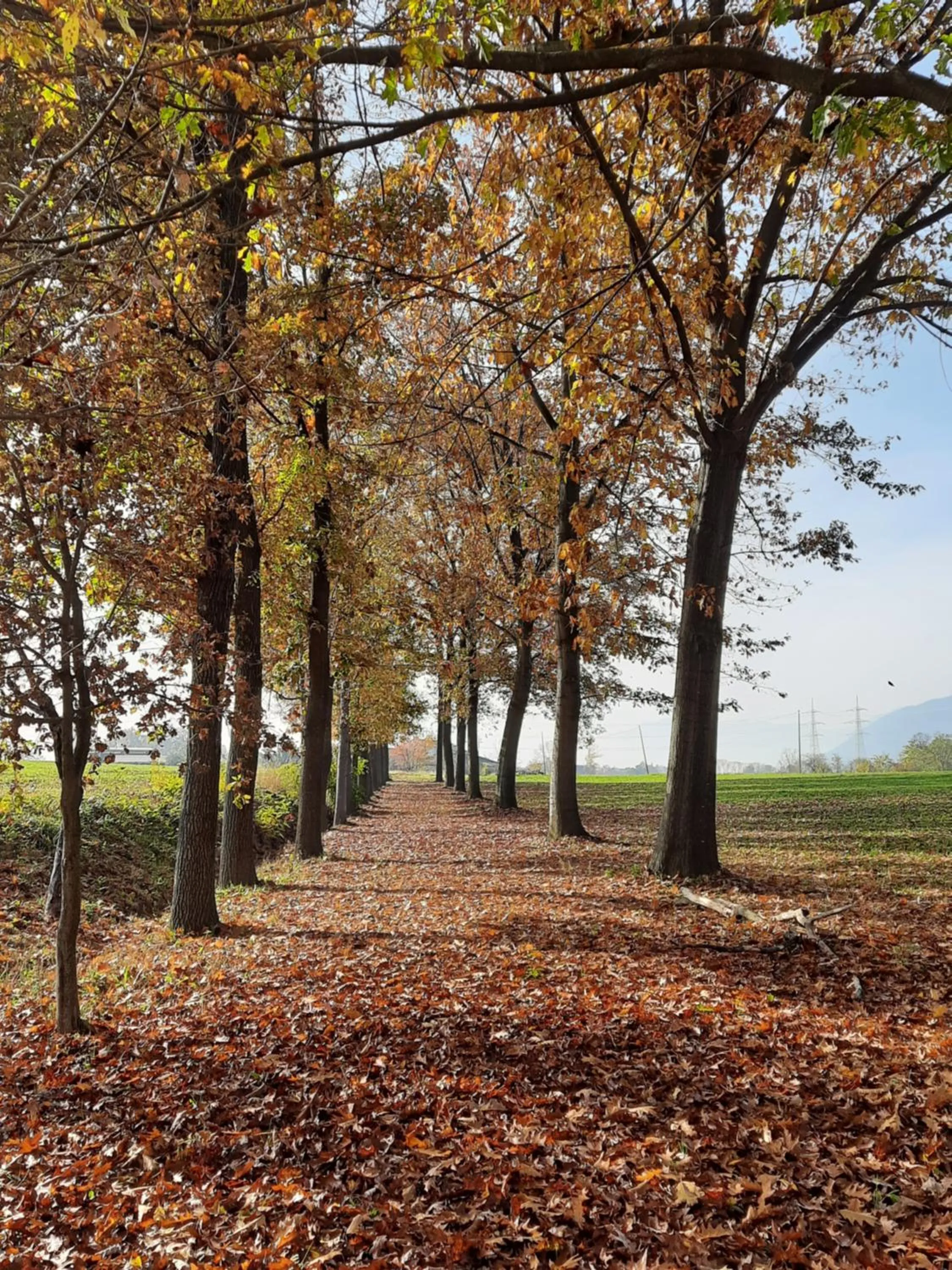 Natural landscape in Cascina Cortese