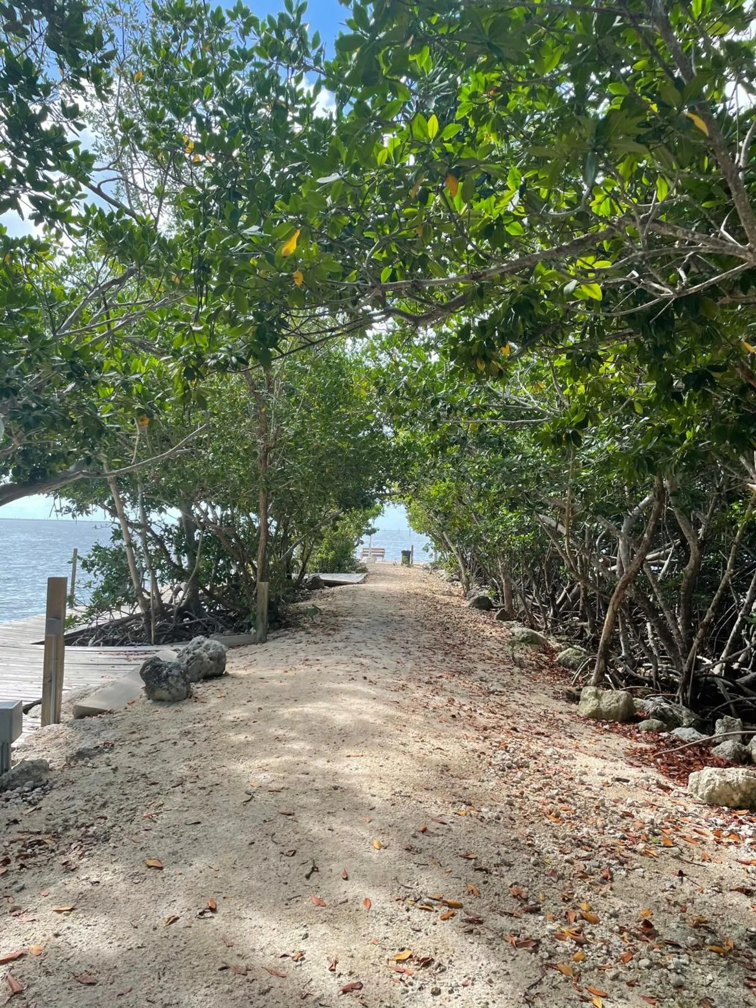 Coconut Cove Resort & Marina