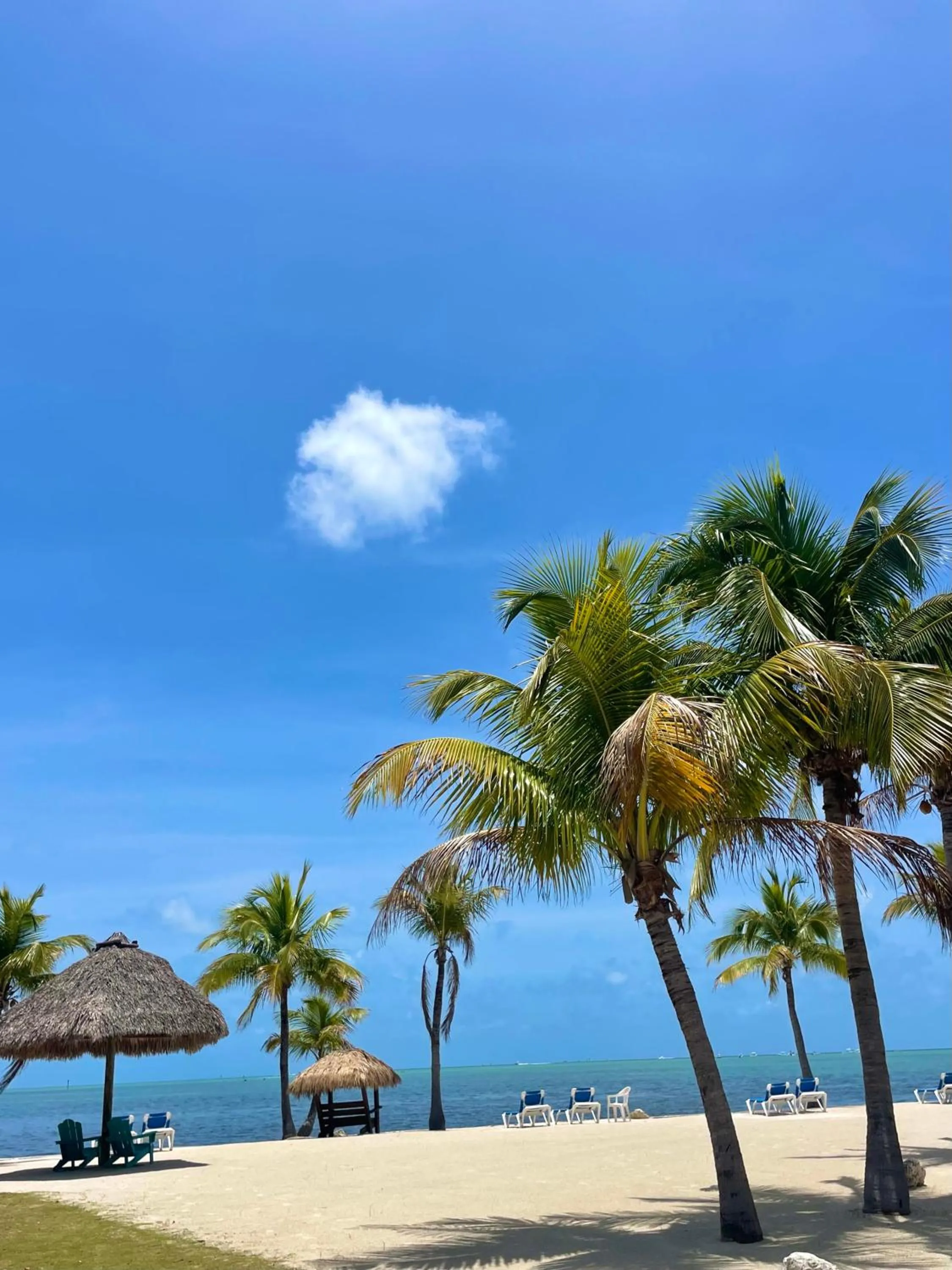 Coconut Cove Resort & Marina