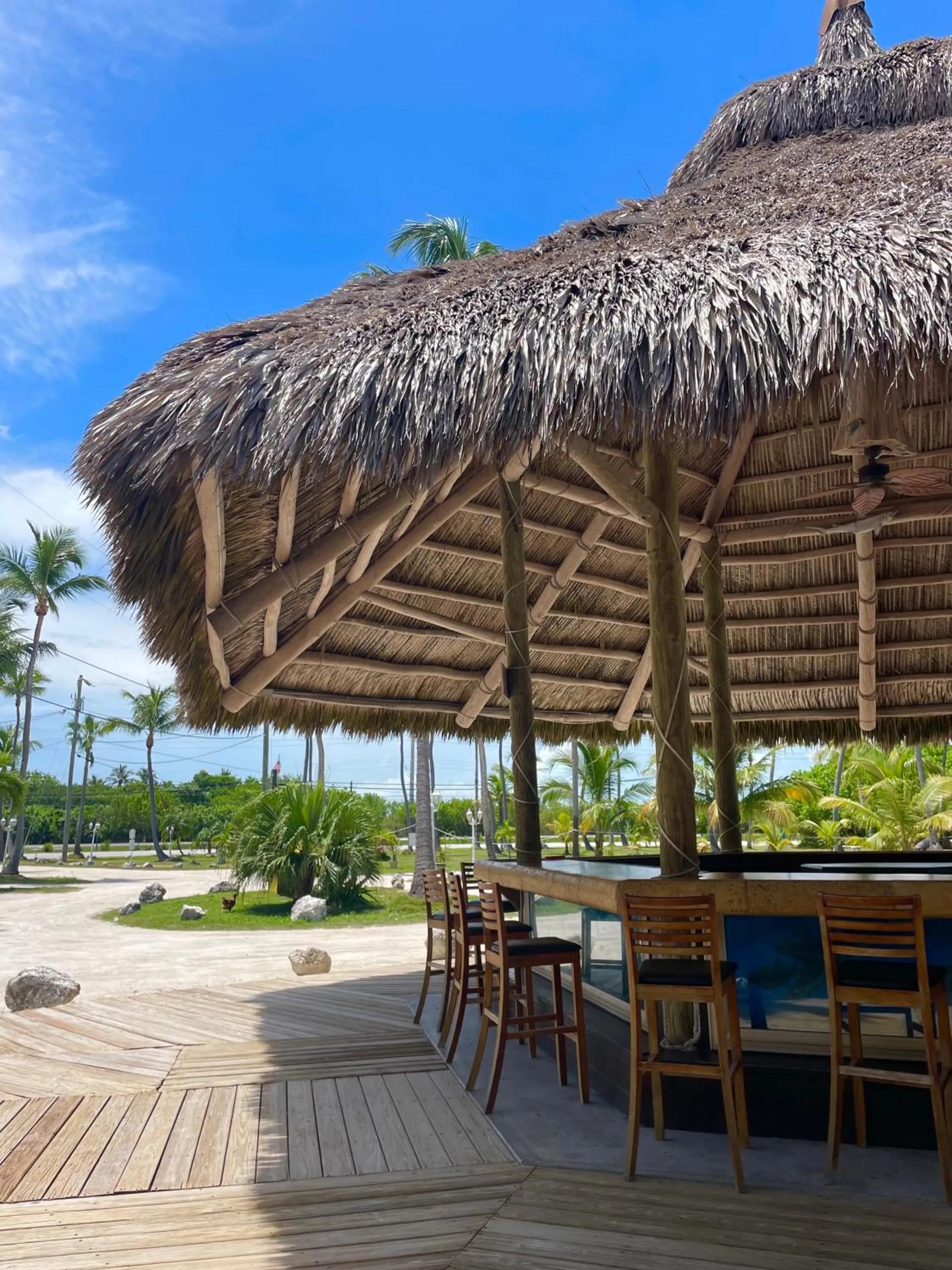 Day in Coconut Cove Resort & Marina