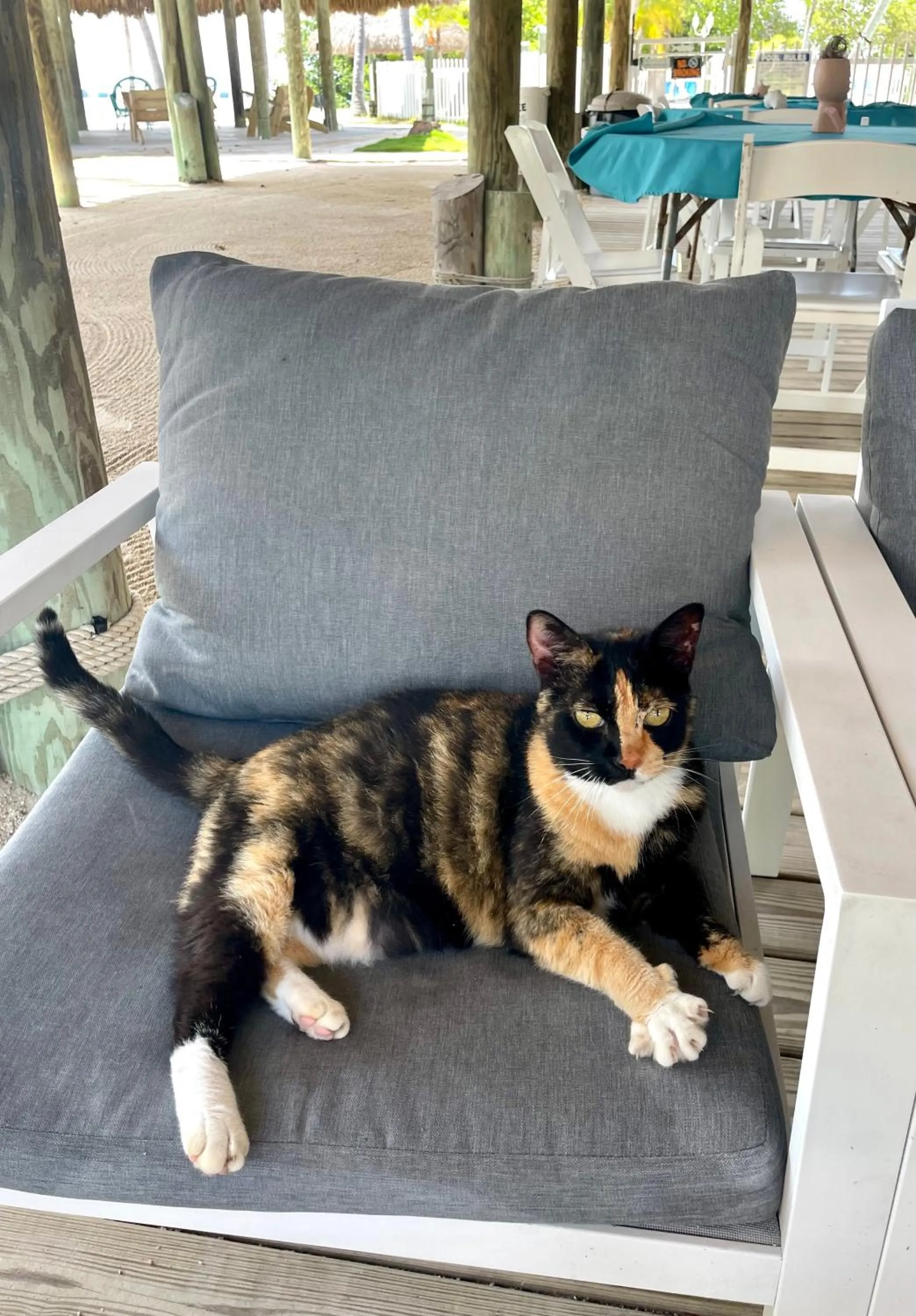 Coconut Cove Resort & Marina