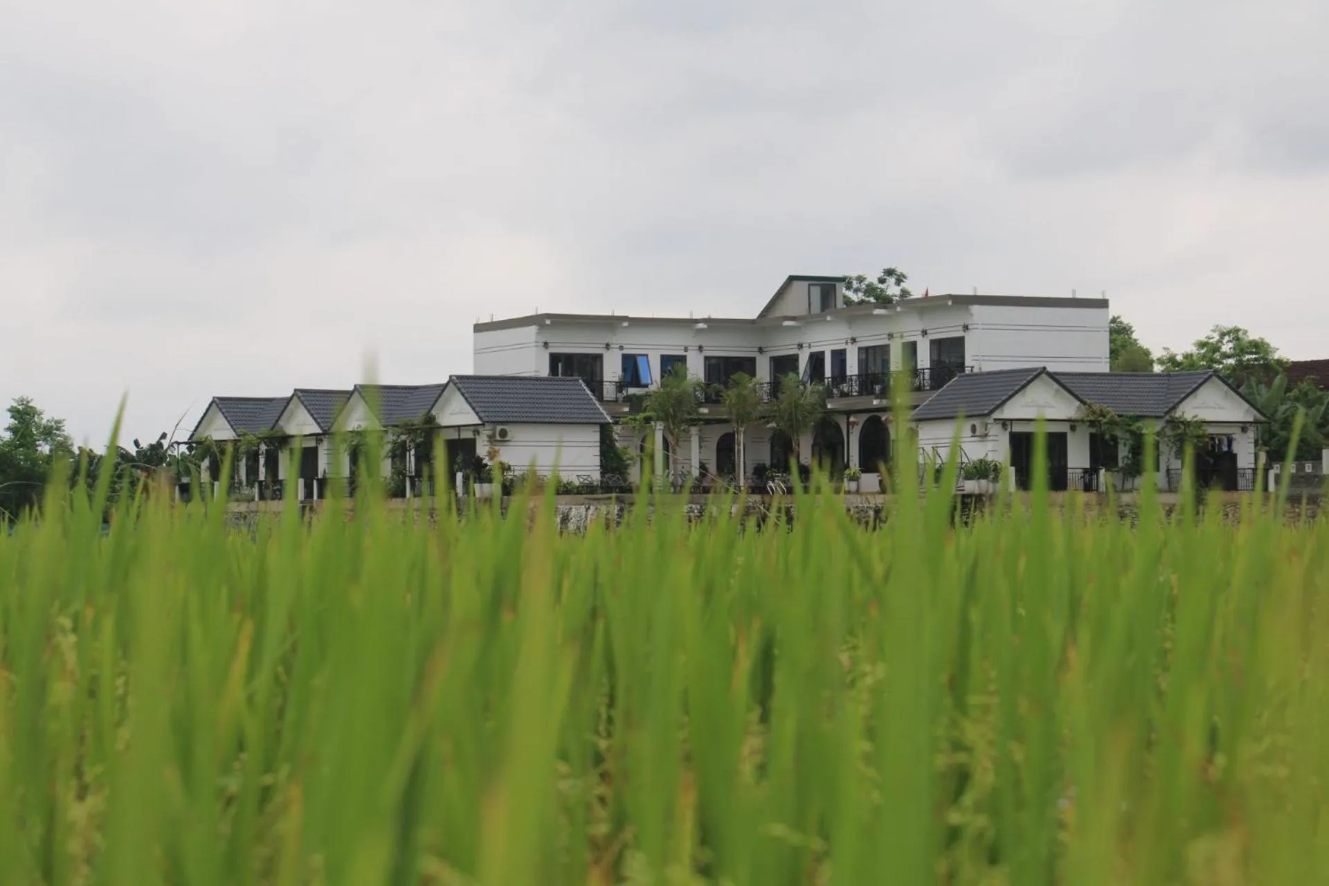 Property building in Karst Villas Phong Nha